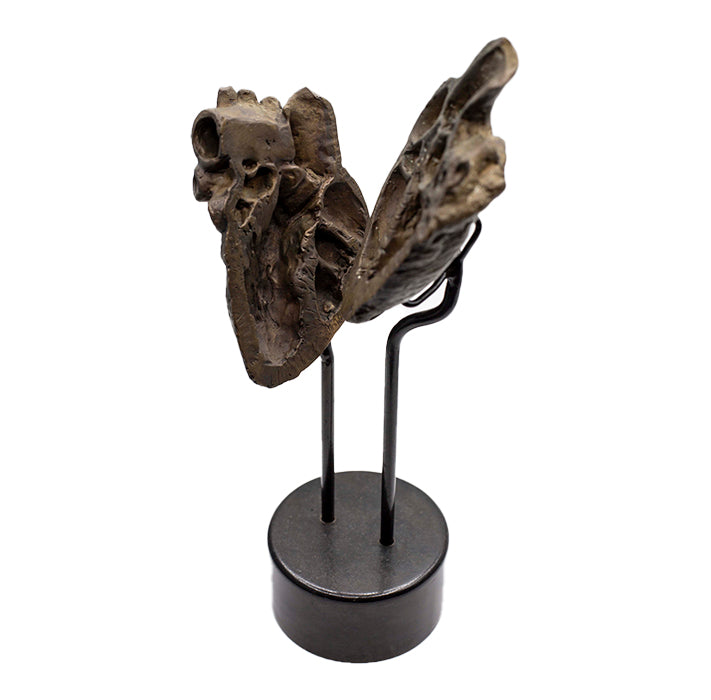 'Departed Heart' | 32x15x10cm-thumbmail-1