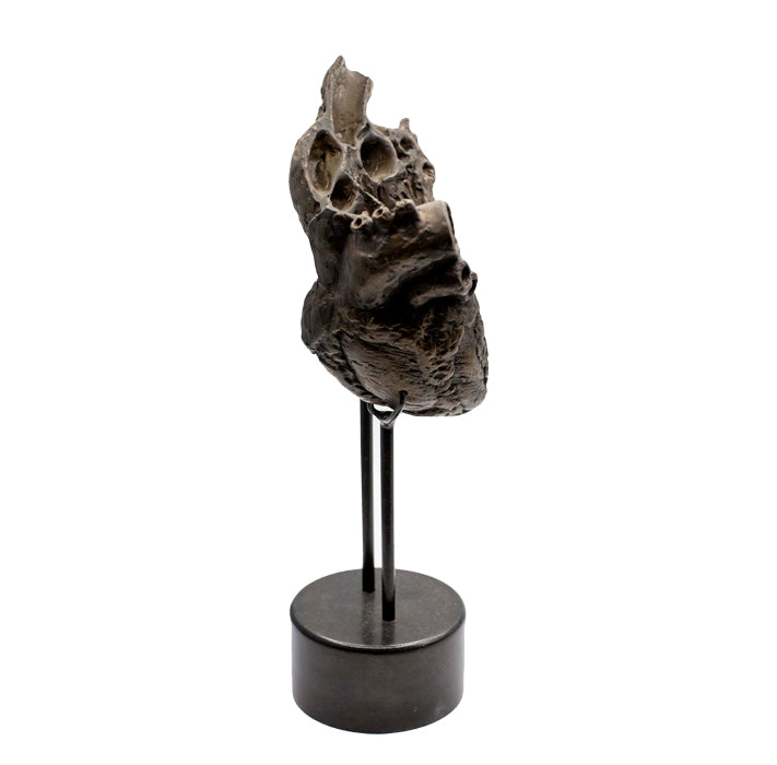 'Departed Heart' | 32x15x10cm-thumbmail-2
