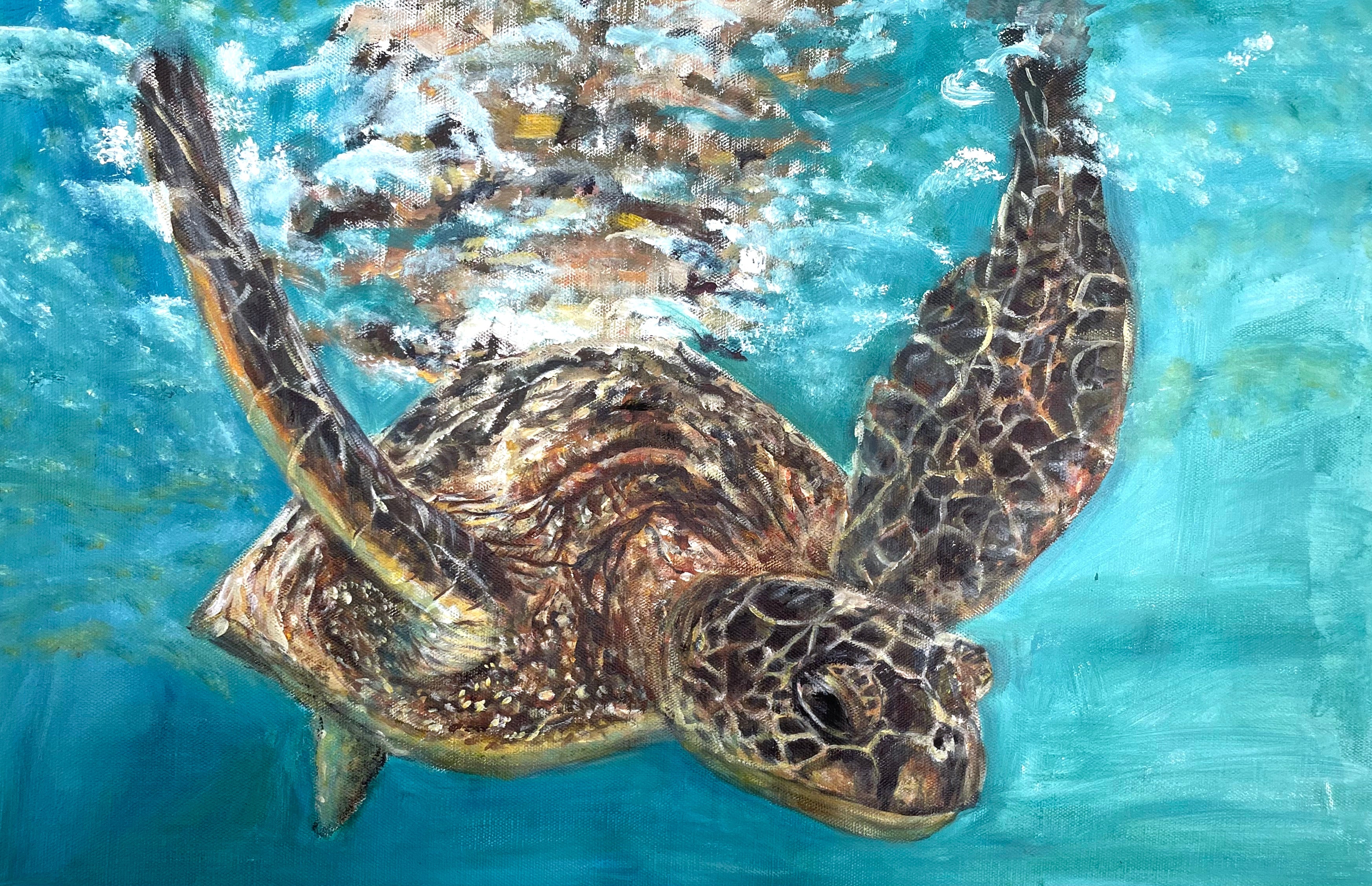 'Testudines' | 50x70cm-thumbmail-1
