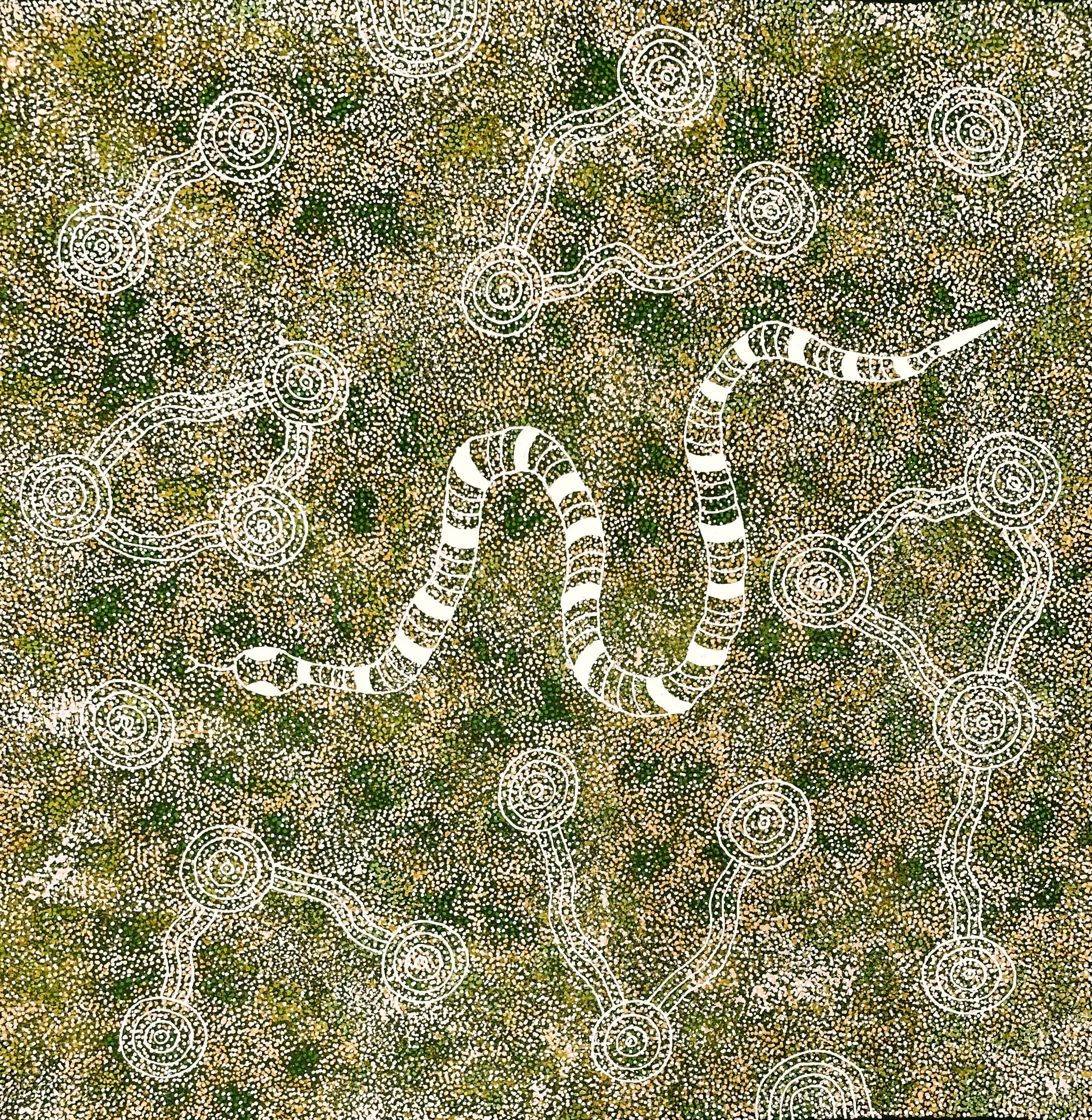 'Snake' | 100x99cm-thumbmail-1