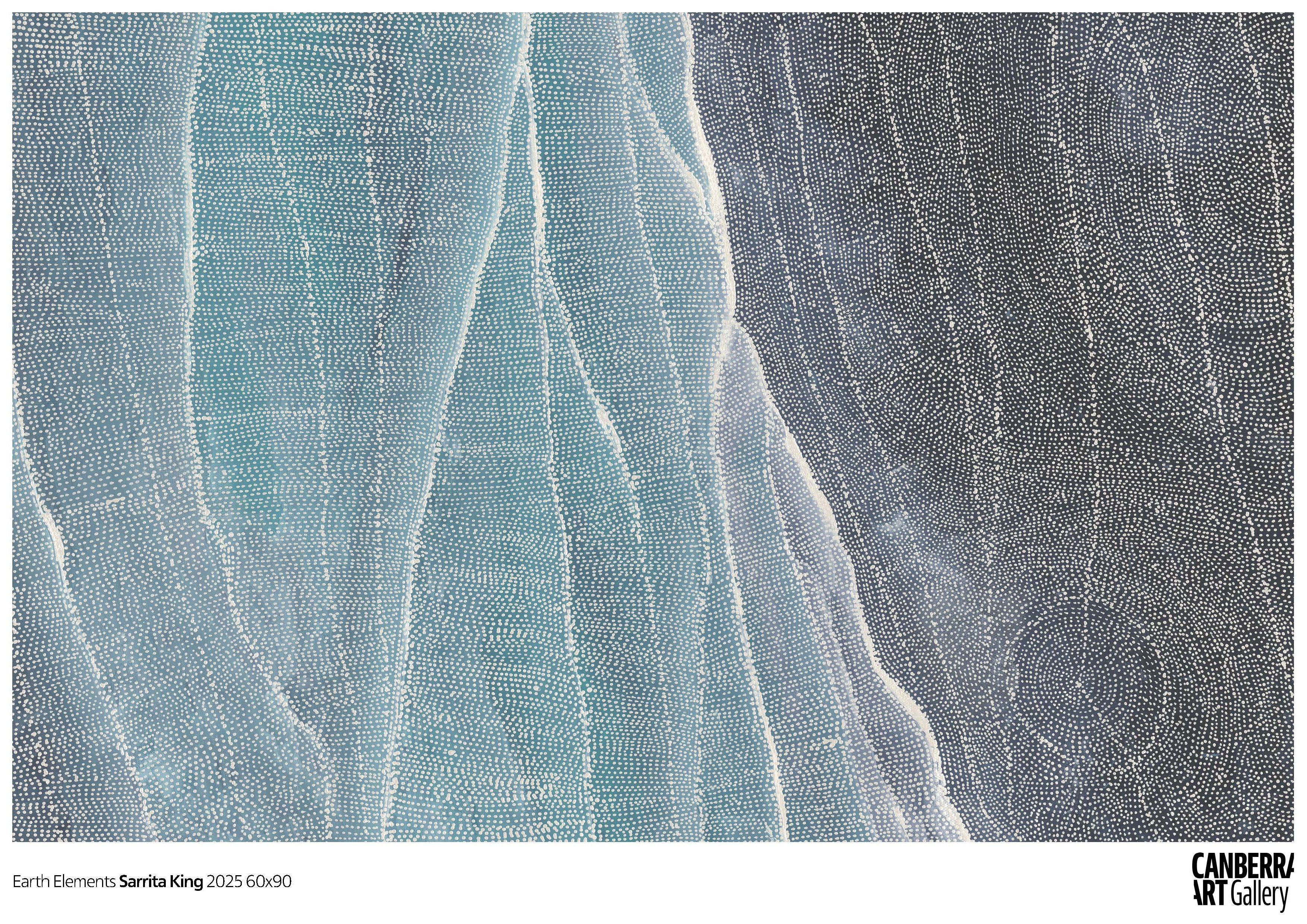 Sarrita King | Earth Elements| CAG Print