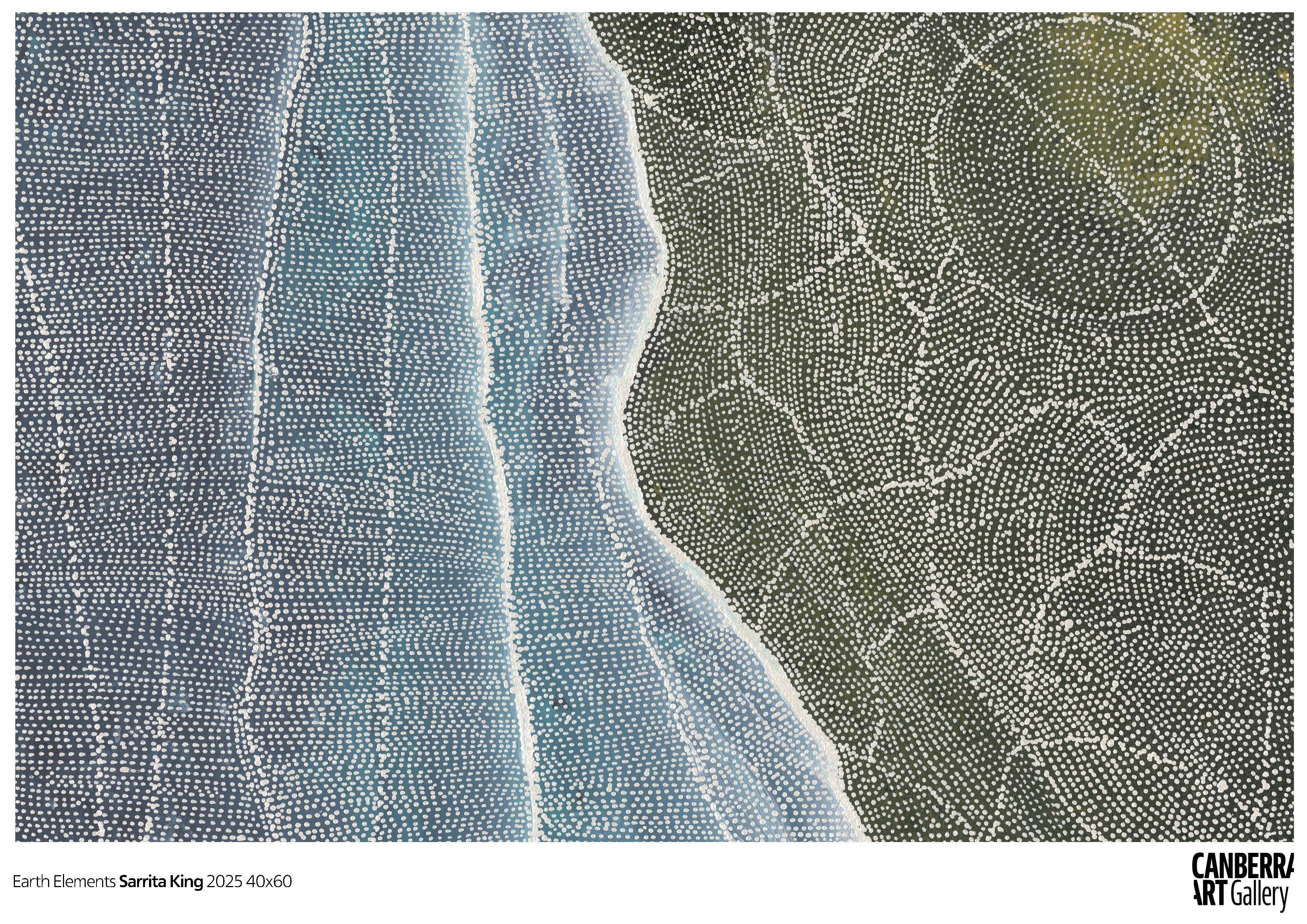 Sarrita King | Earth Elements| CAG Print