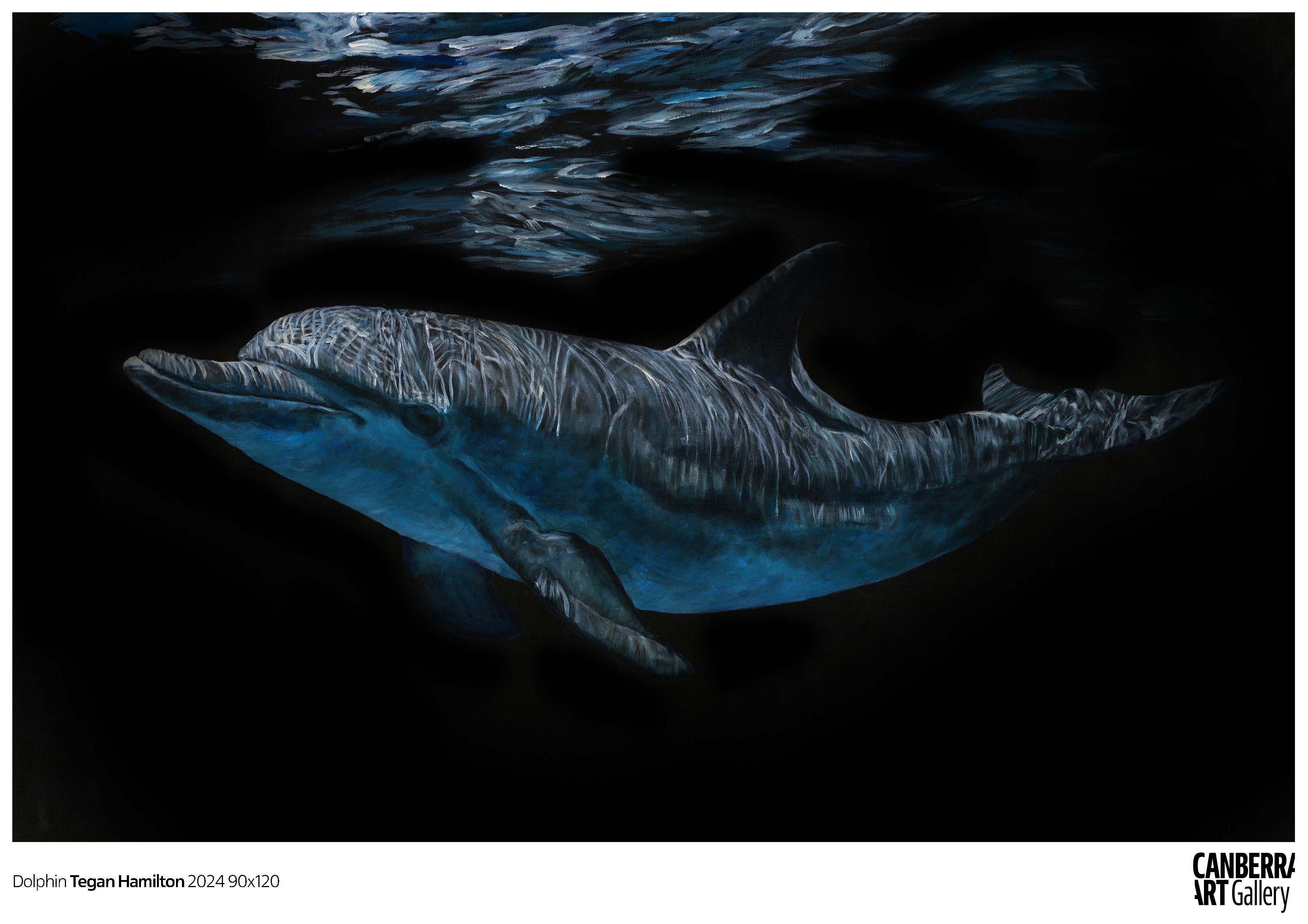 Tegan Hamilton | Dolphin | CAG Print