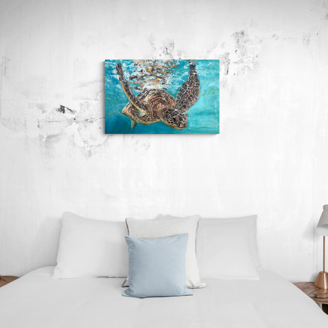 'Testudines' | 50x70cm-thumbmail-3