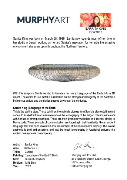 Sarrita King | 'Language of the Earth' Shield | 60x17x6cm-thumbmail-5