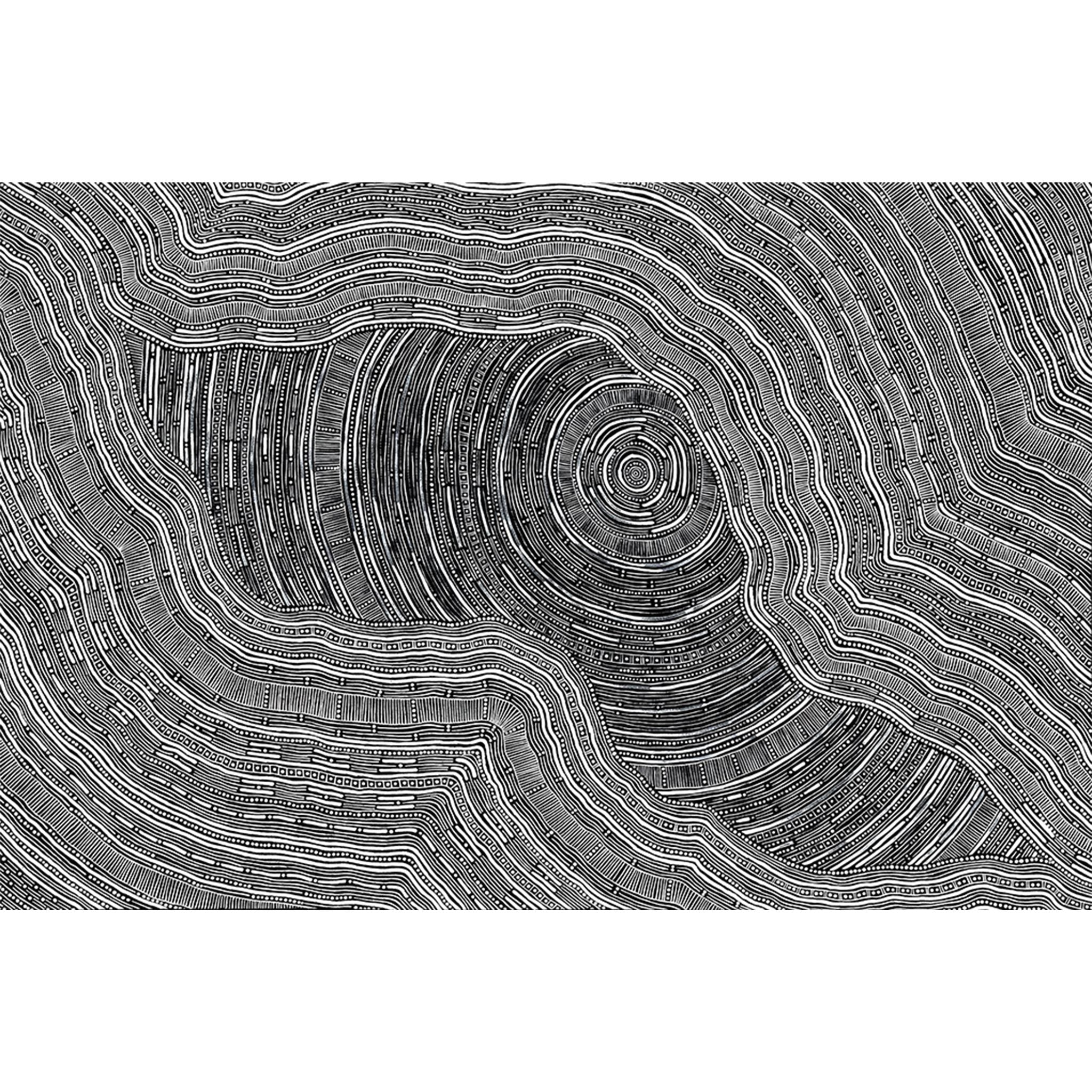 Sarrita King | 'Language Of The Earth, 2024' | Fine Art Print-thumbmail-1