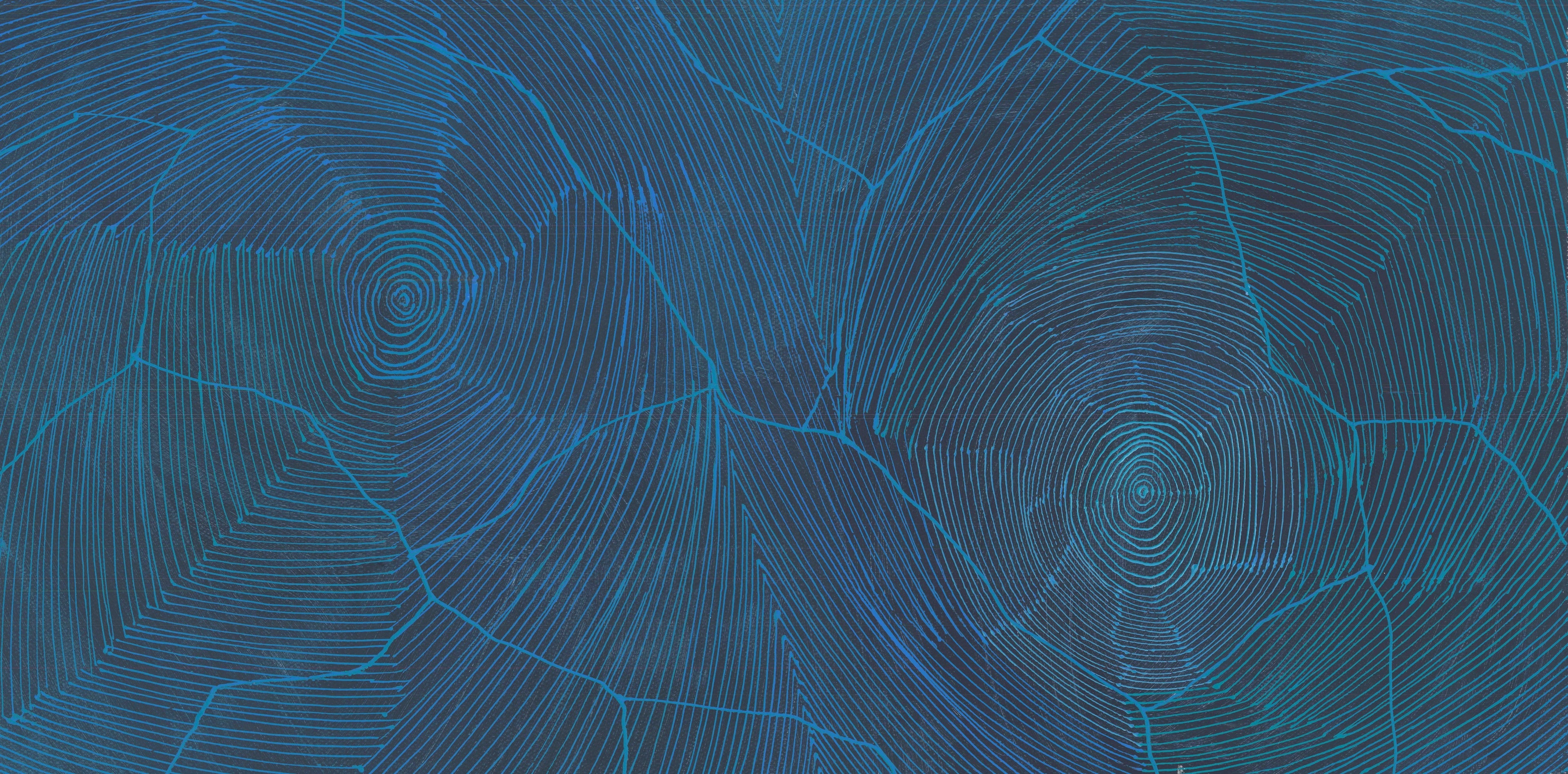 Sarrita King | 'Ngurra, 2024' | 30x60cm