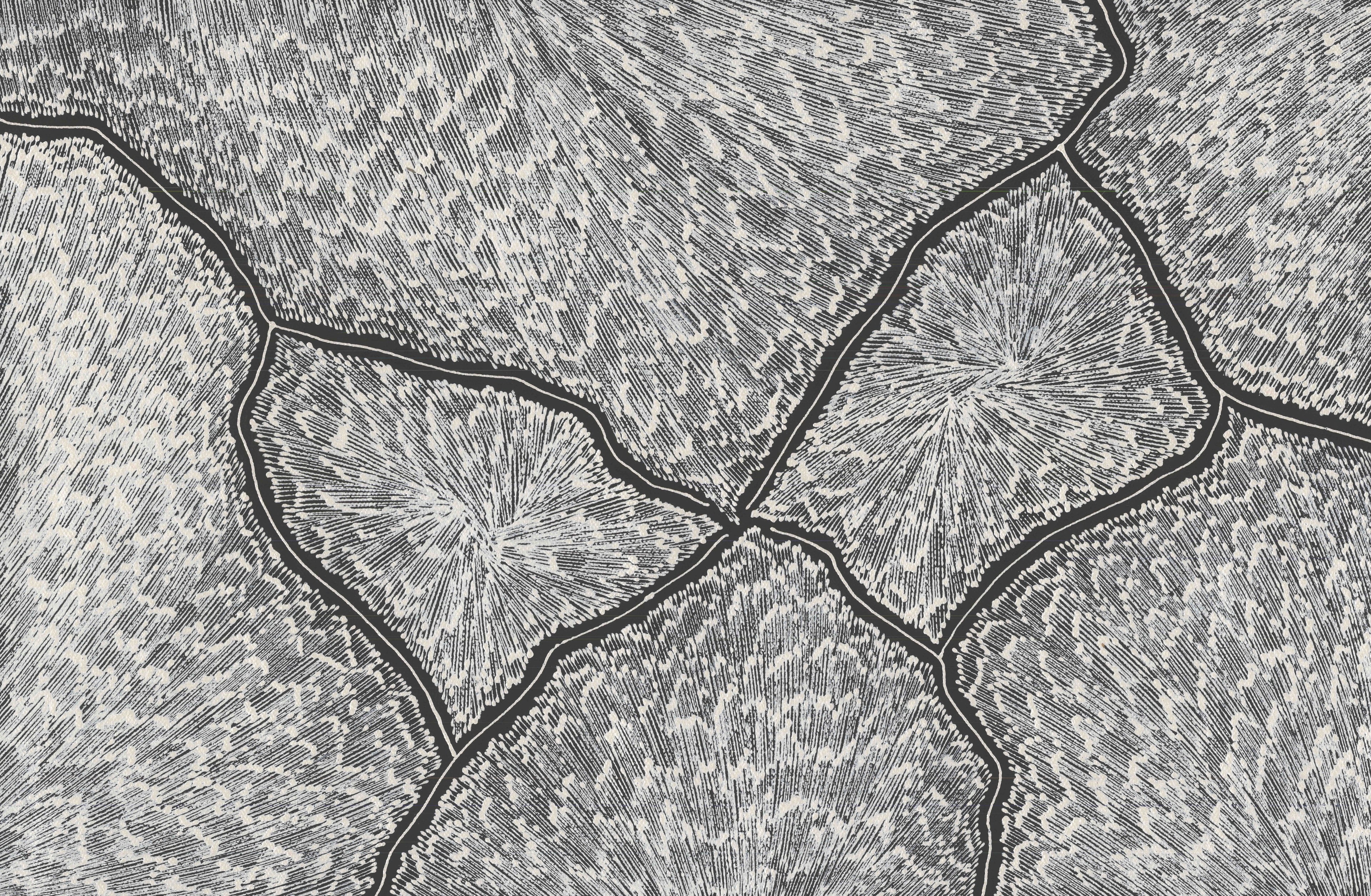 Sarrita King | 'Lightning, 2025' | 40x60cm