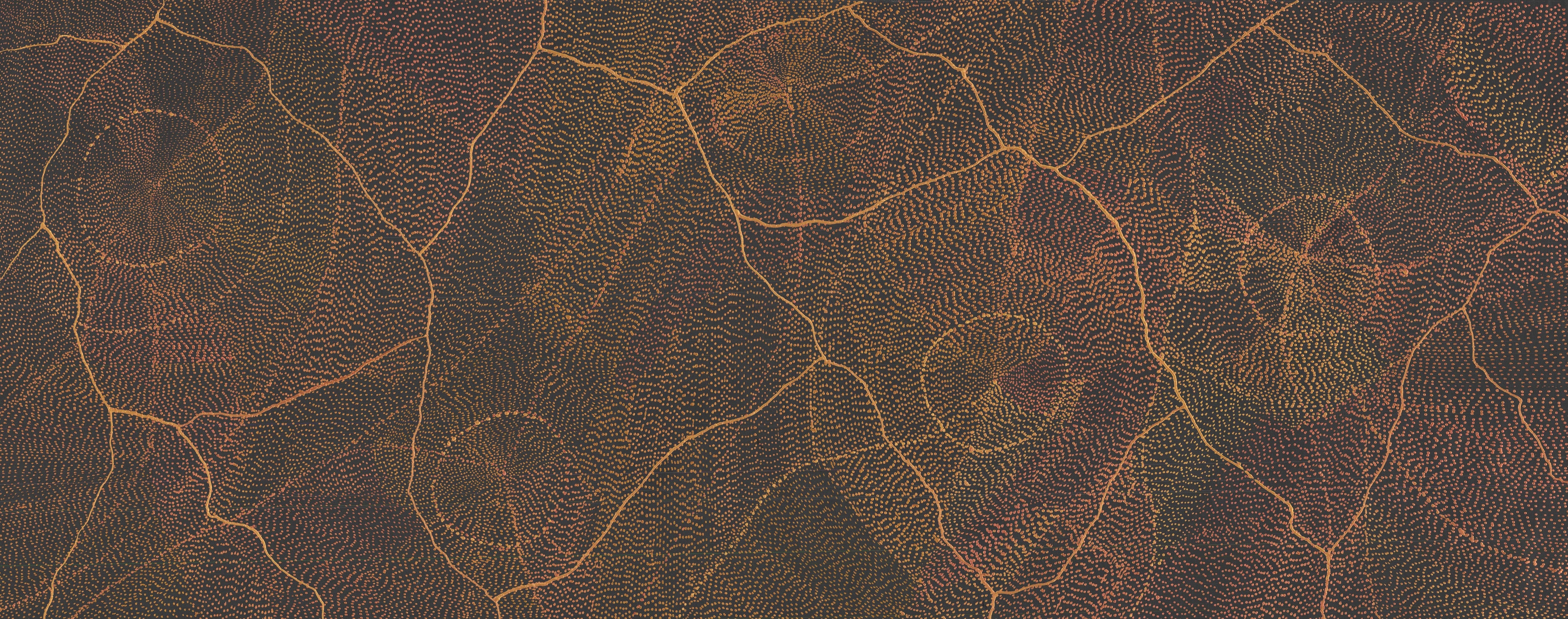 'Lightning, 2024' | 60x150cm