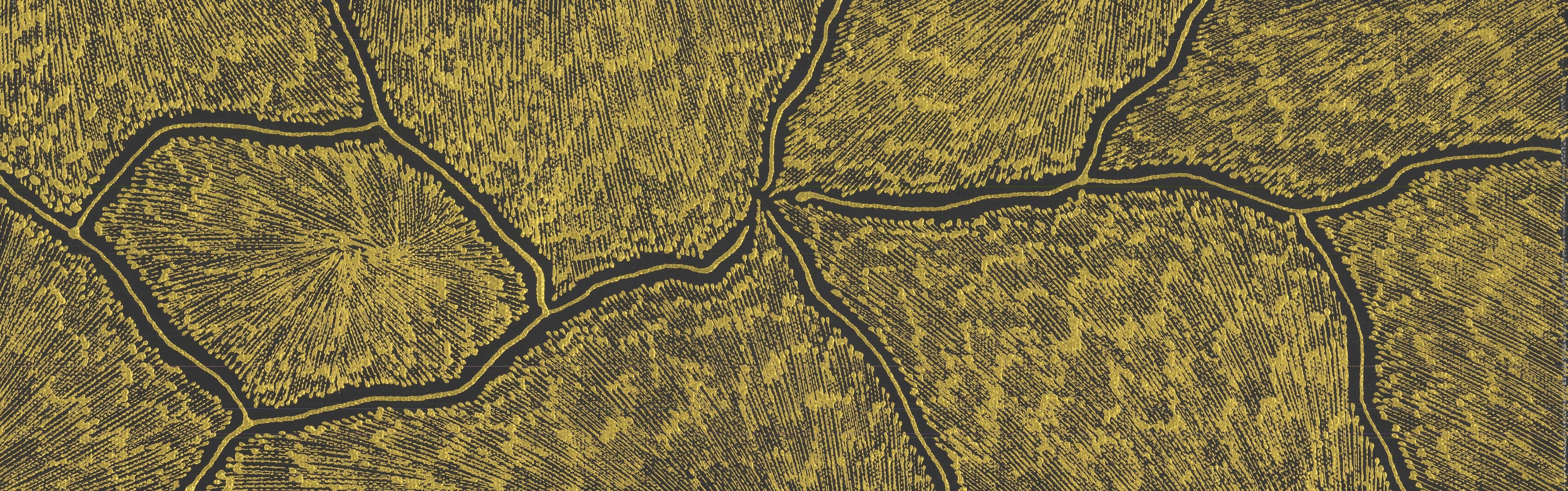 Sarrita King | 'Lightning,2025' | 20x60cm