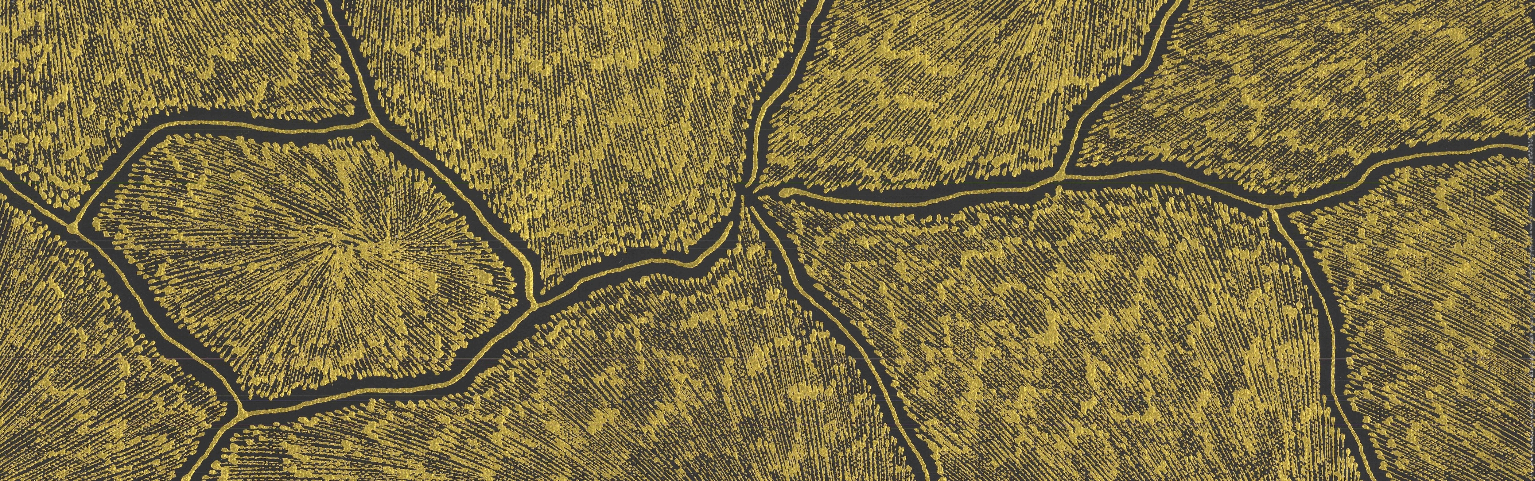 Sarrita King | 'Lightning,2025' | 20x60cm