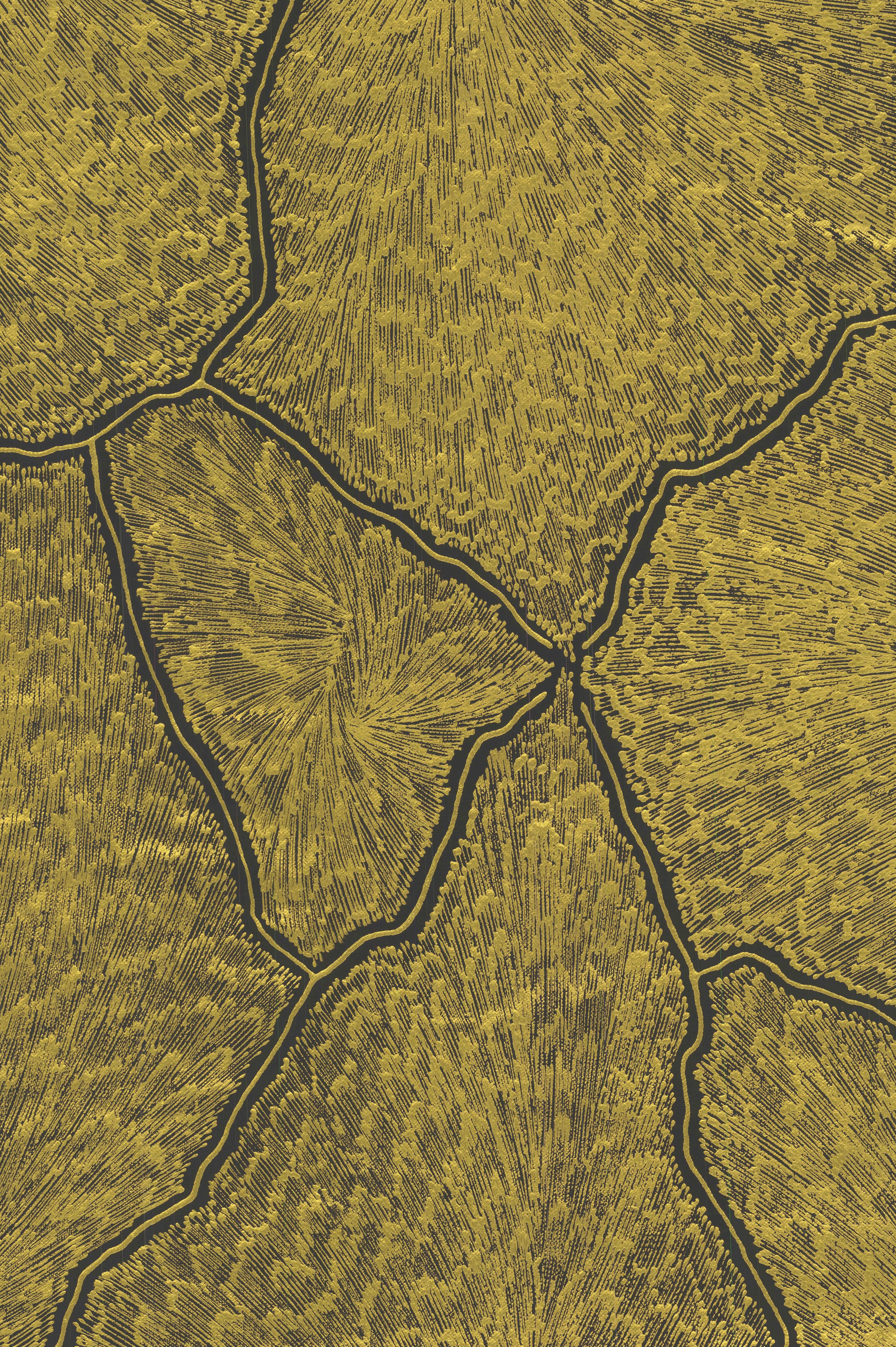 Sarrita King | 'Lightning, 2025' | 40x60cm