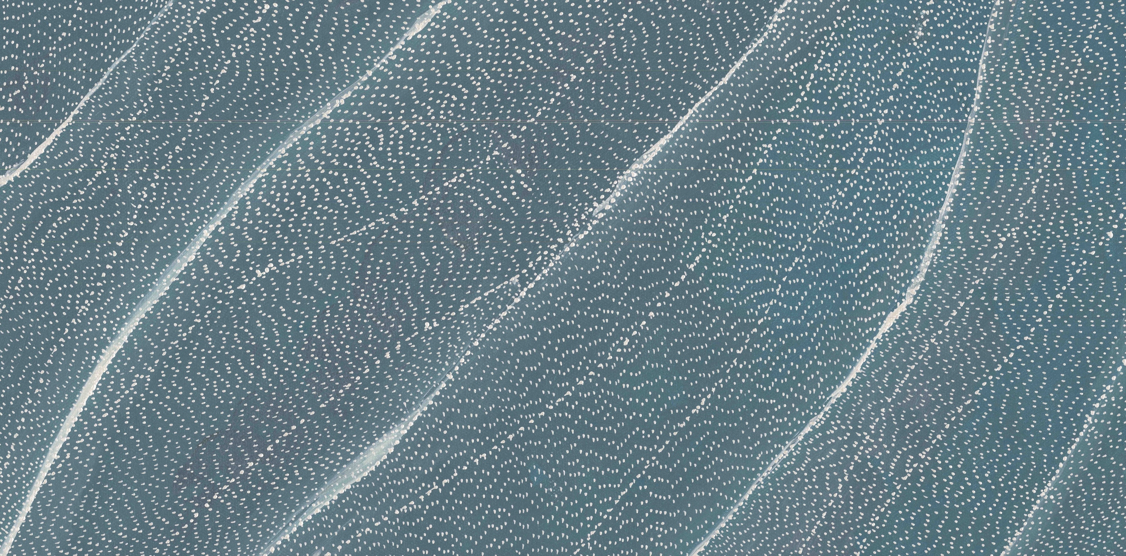 Sarrita King | 'Earth Elements, 2025' | 30x60cm