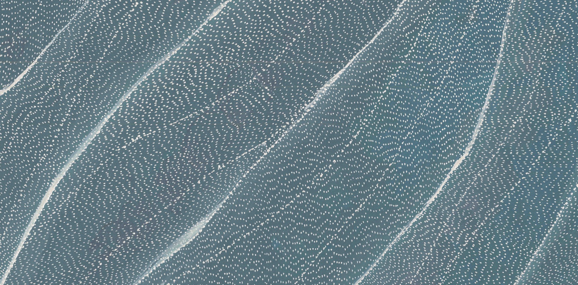 An aerial style dot painting in teal and slate blue, crossed by pale diagonal ridges, with fine white dotting rippling across the surface like windblown sand.
