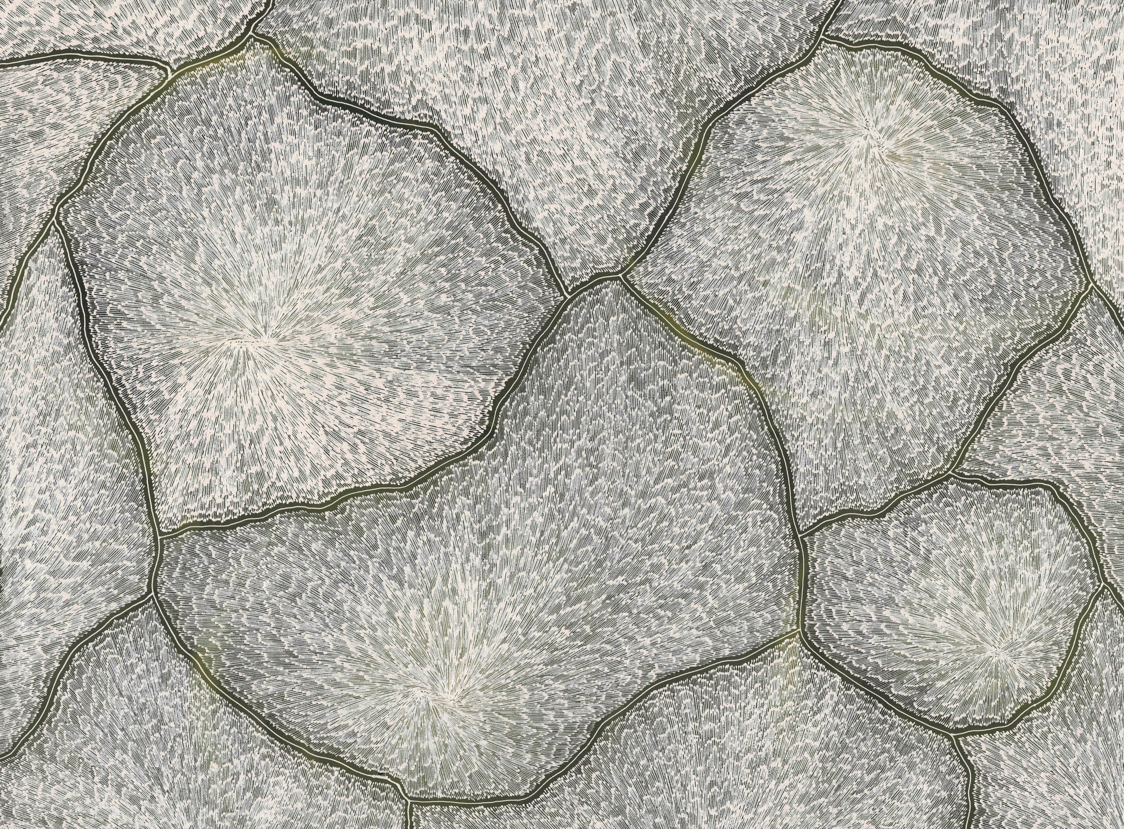 Sarrita King | 'Lightning, 2025' | 90x120cm