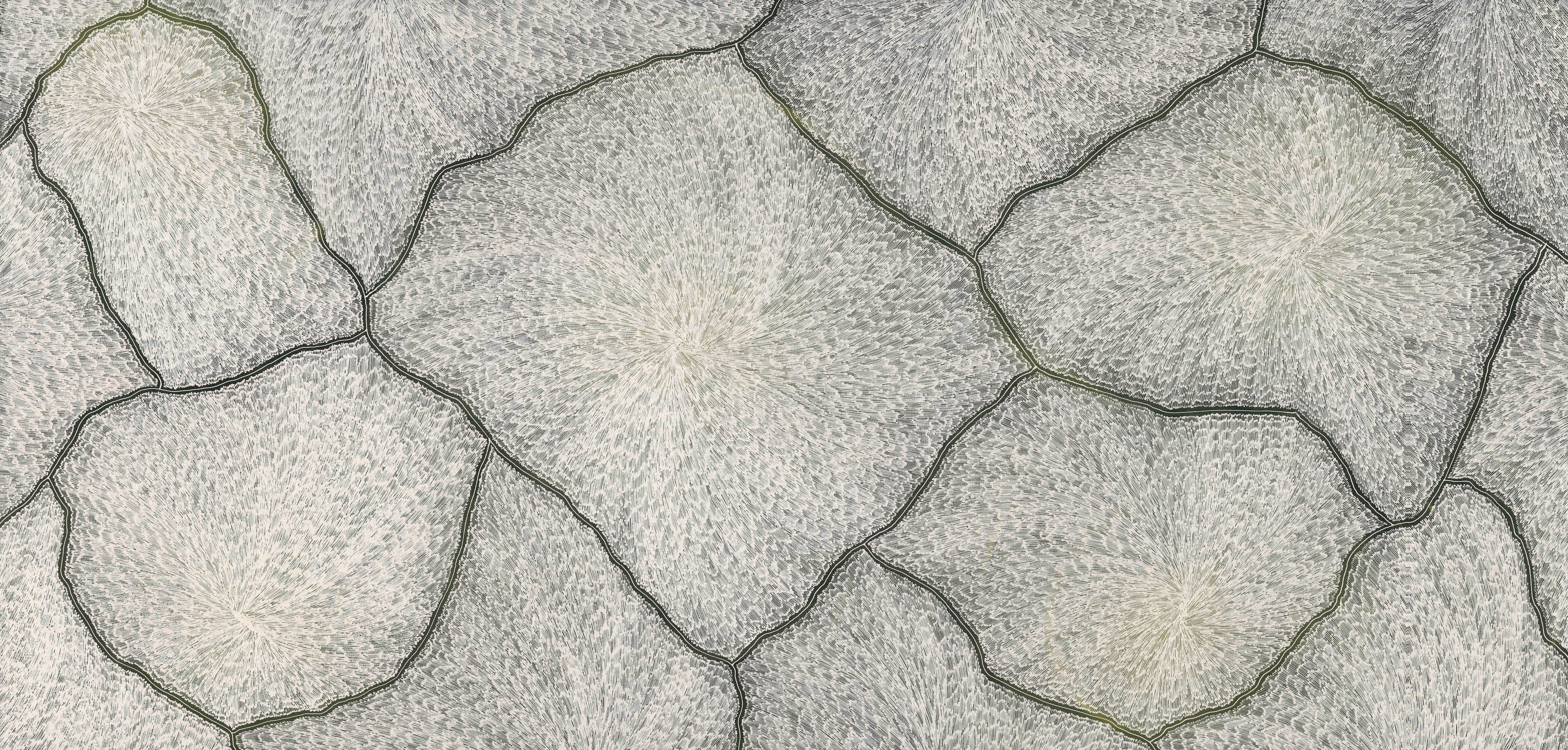 Sarrita King | 'Lightning, 2025' | 120x240cm