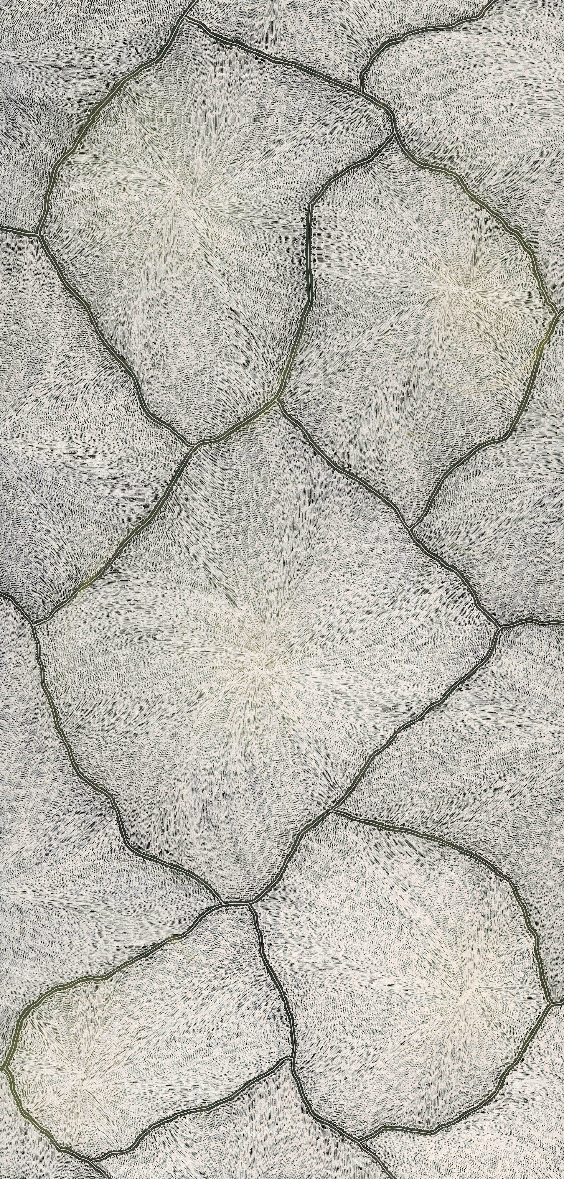 Sarrita King | 'Lightning, 2025' | 120x240cm