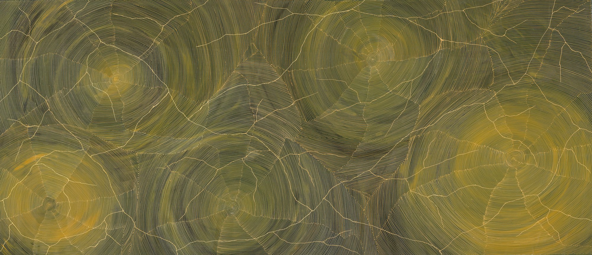 Large horizontal painting of overlapping concentric circles in mossy green, olive and gold, connected by fine pale cracked lines suggesting an aerial view of Country.