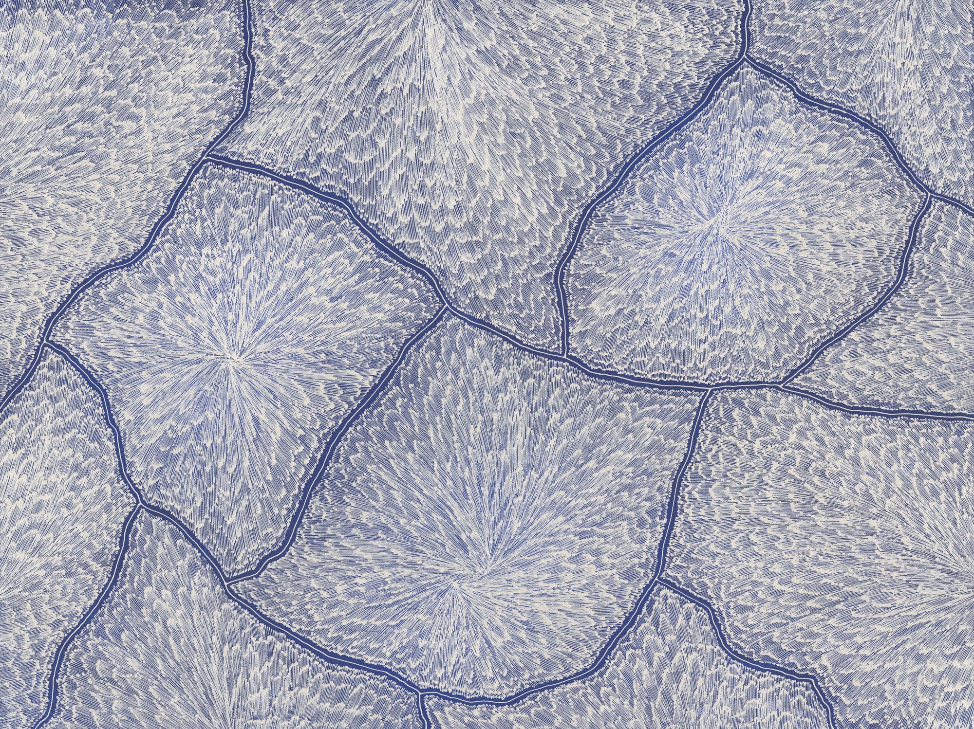 A large contemporary Aboriginal painting in indigo and white, with jagged dark lines branching across the canvas like lightning forks, each cell radiating fine directional brushwork suggesting wind and rain.