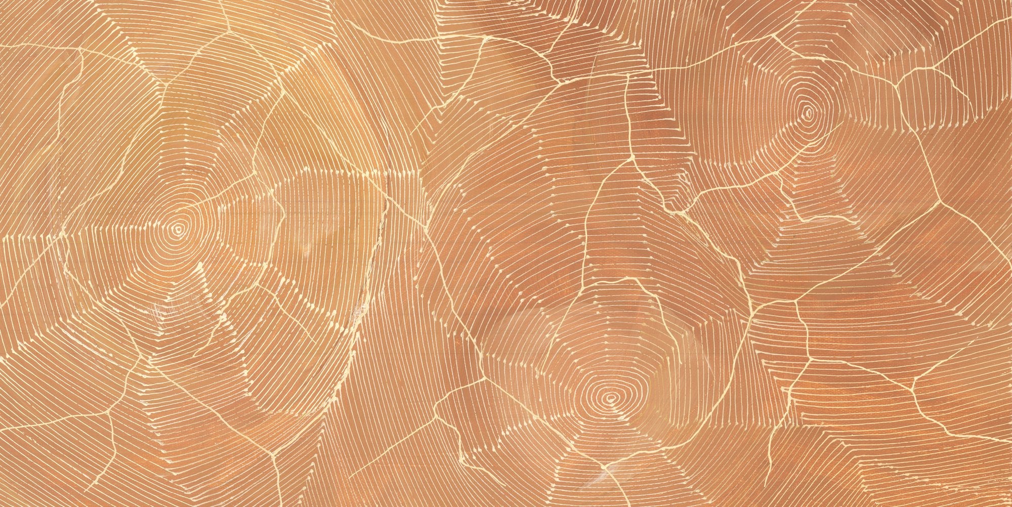 Aerial style Indigenous painting in coral and apricot tones, with fine white concentric rings and cracked line patterns spreading across the surface like sun warmed earth.