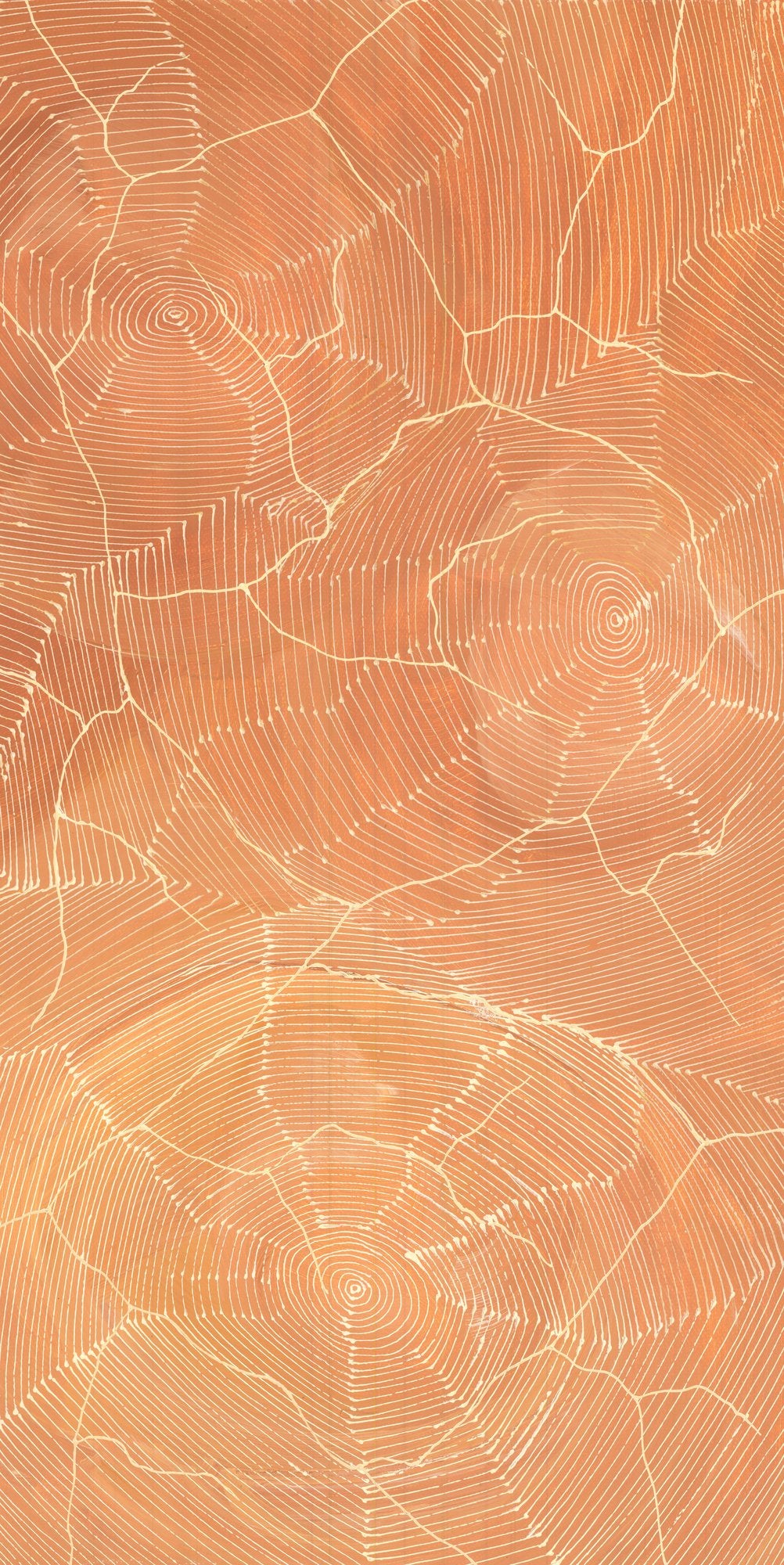Additional view of Ngurra by Sarrita King