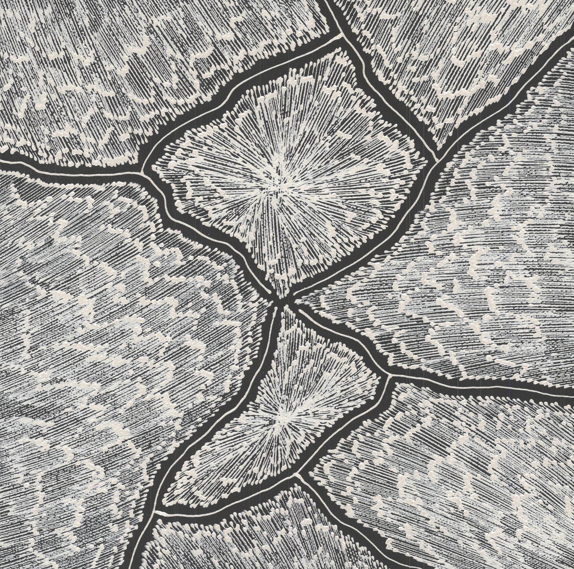 Monochrome painting by Sarrita King depicting forked lightning patterns in deep black channels separating radiant white starburst cells across a densely stippled grey field.