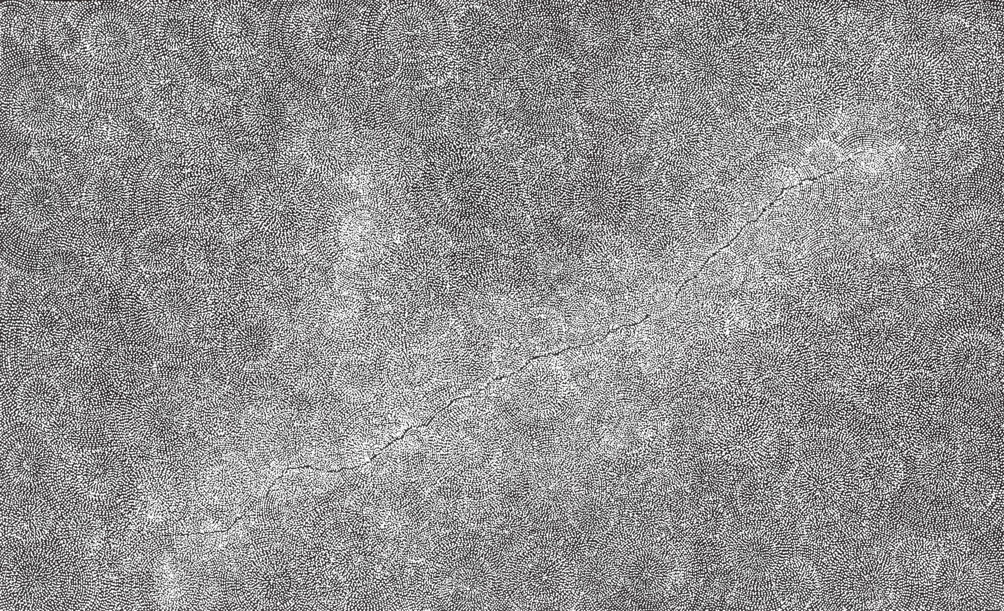 A large monochrome dot painting in silver, charcoal and white, with a sinuous diagonal line travelling across a densely textured field suggesting earth and watercourse.