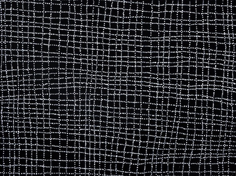 A large painting covered in fine white dots forming a tilted, broken grid pattern on a deep black ground, suggesting cracked salt country seen from above.