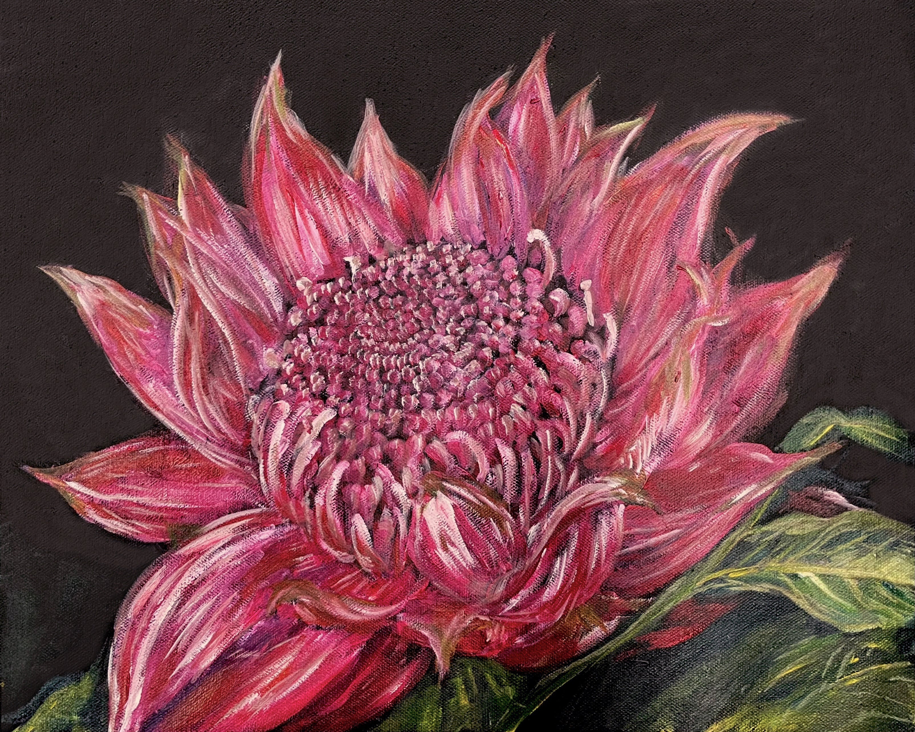 'Telopea' | 40x50cm-thumbmail-1