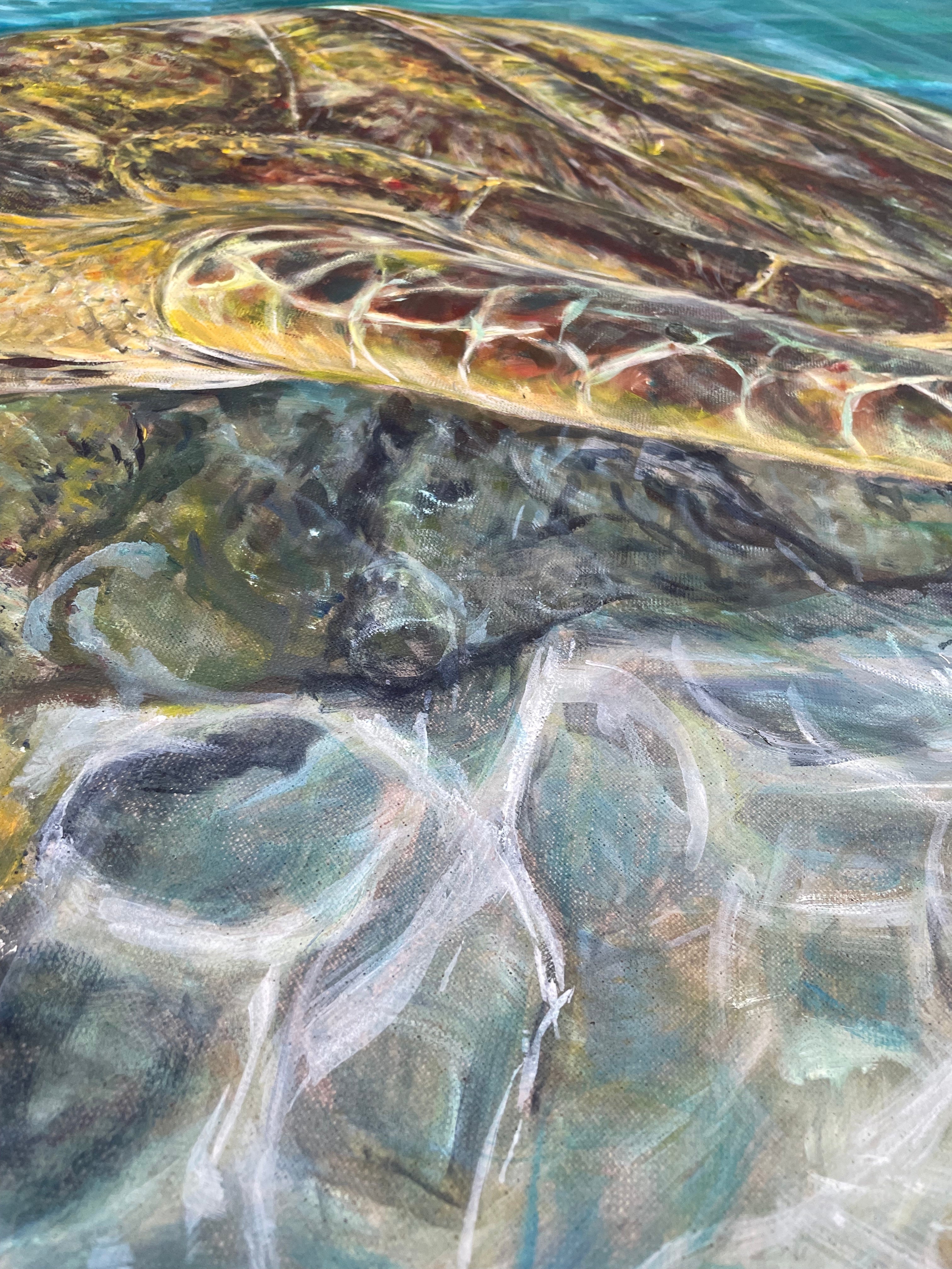 'Testudinata' | 90x120cm