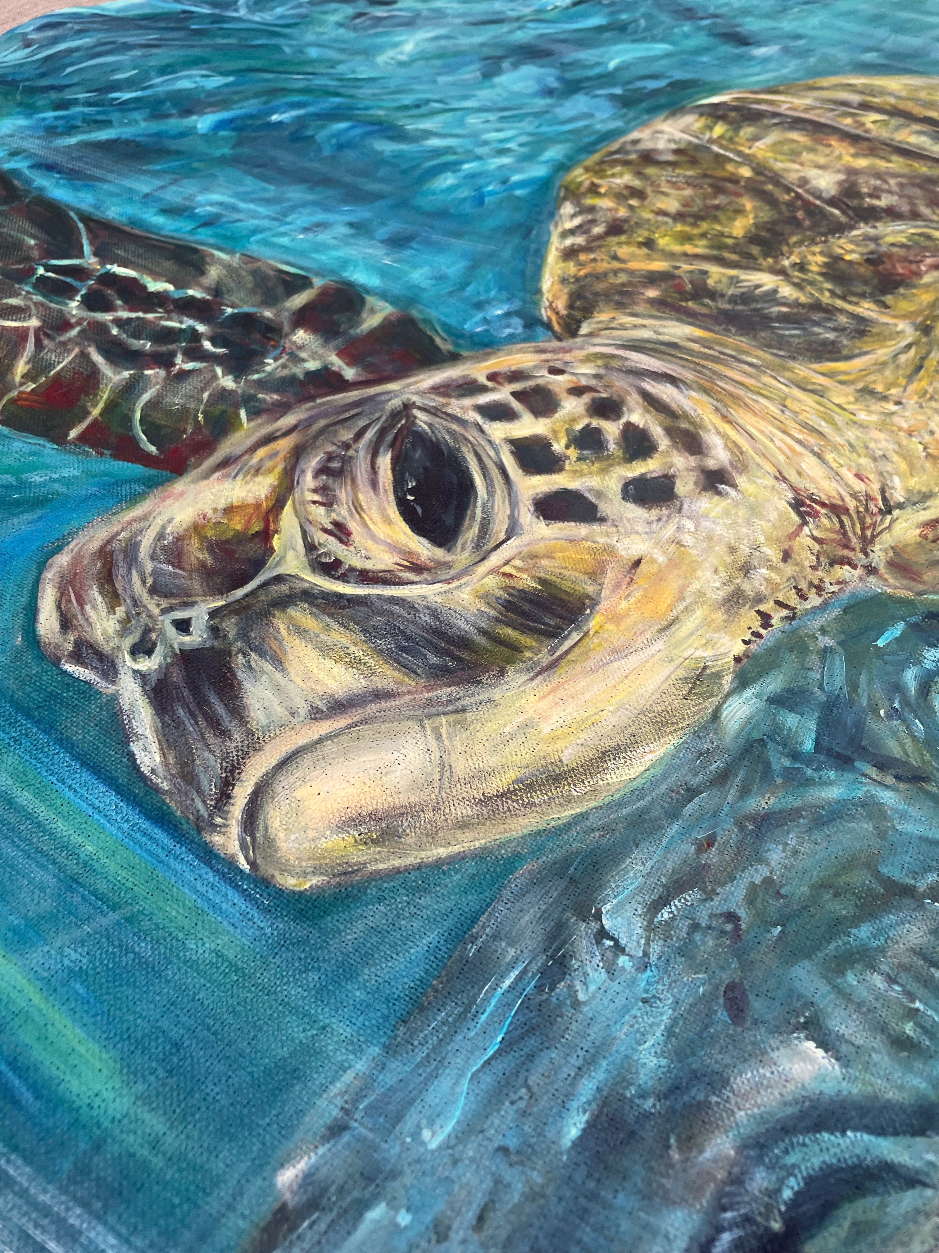 'Testudinata' | 90x120cm