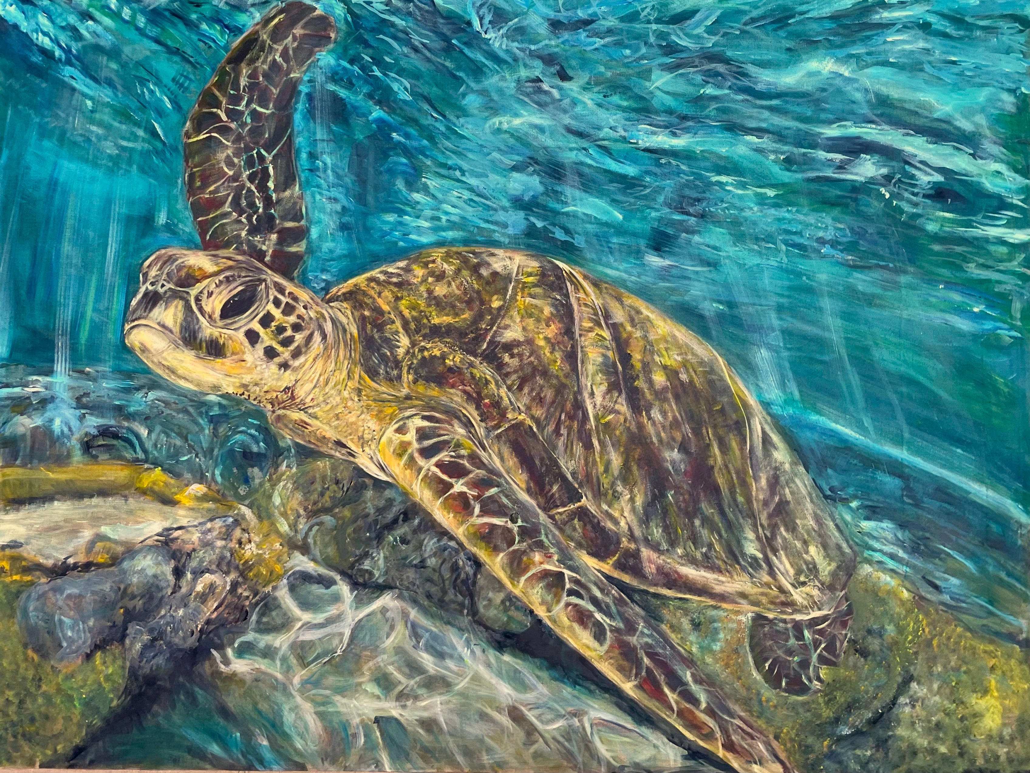 'Testudinata' | 90x120cm-thumbmail-1