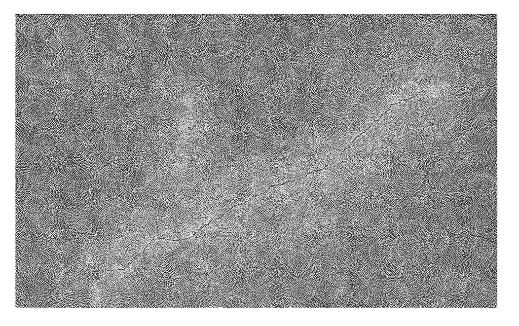 William King Jungala | 'Earth Cycles, 2007' | Fine Art Print