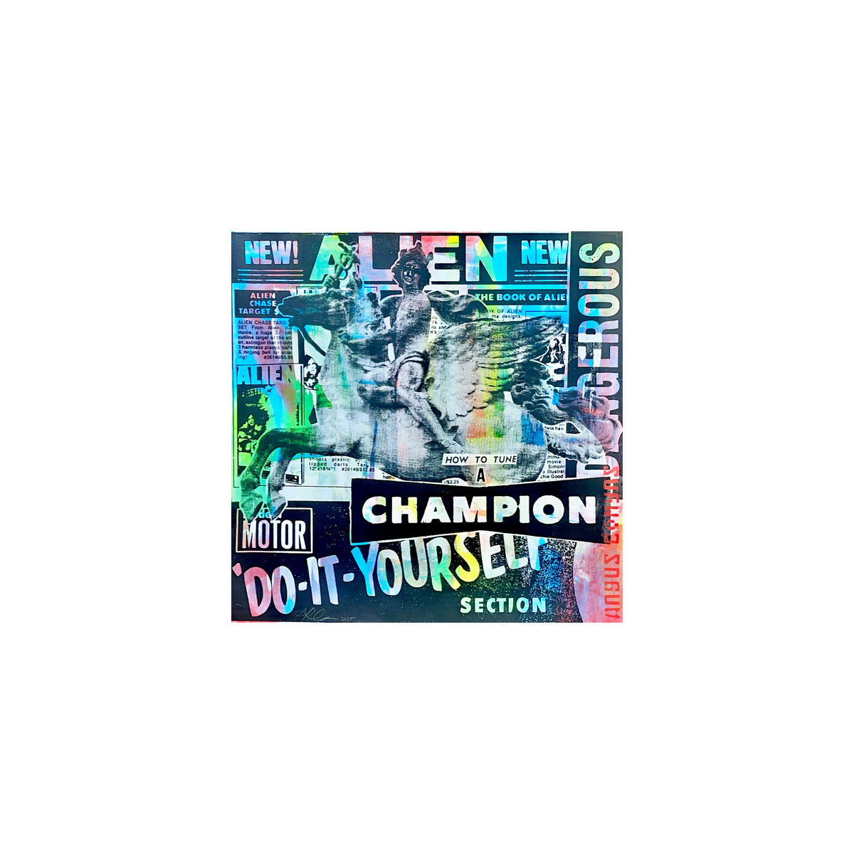 Champion by Angus Comyns