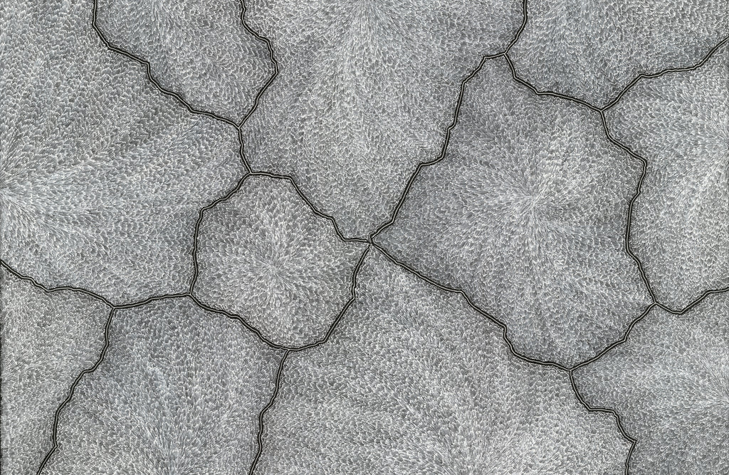 Sarrita King | 'Lightning, 2023' | Fine Art Print