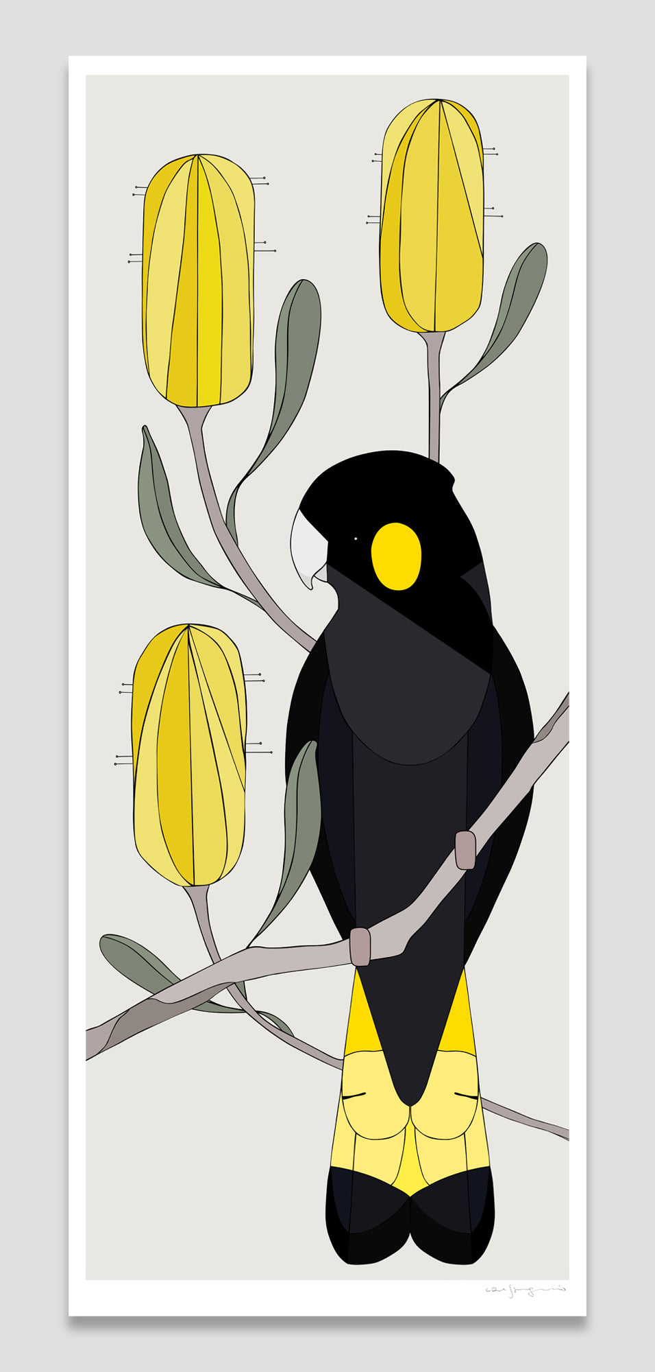 YellowTailed Cockatoo & Banksia | 104x45cm
