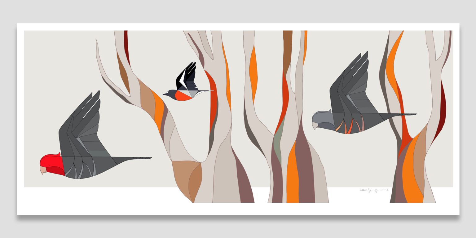 Gang-Gang Cockatoos, Flame Robin & Snow Gums | 104x45cm