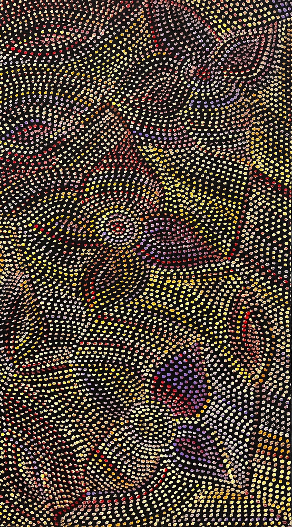 Joy Pitjara | 'Bush Yam Seeds, Unknown' | 52x65cm