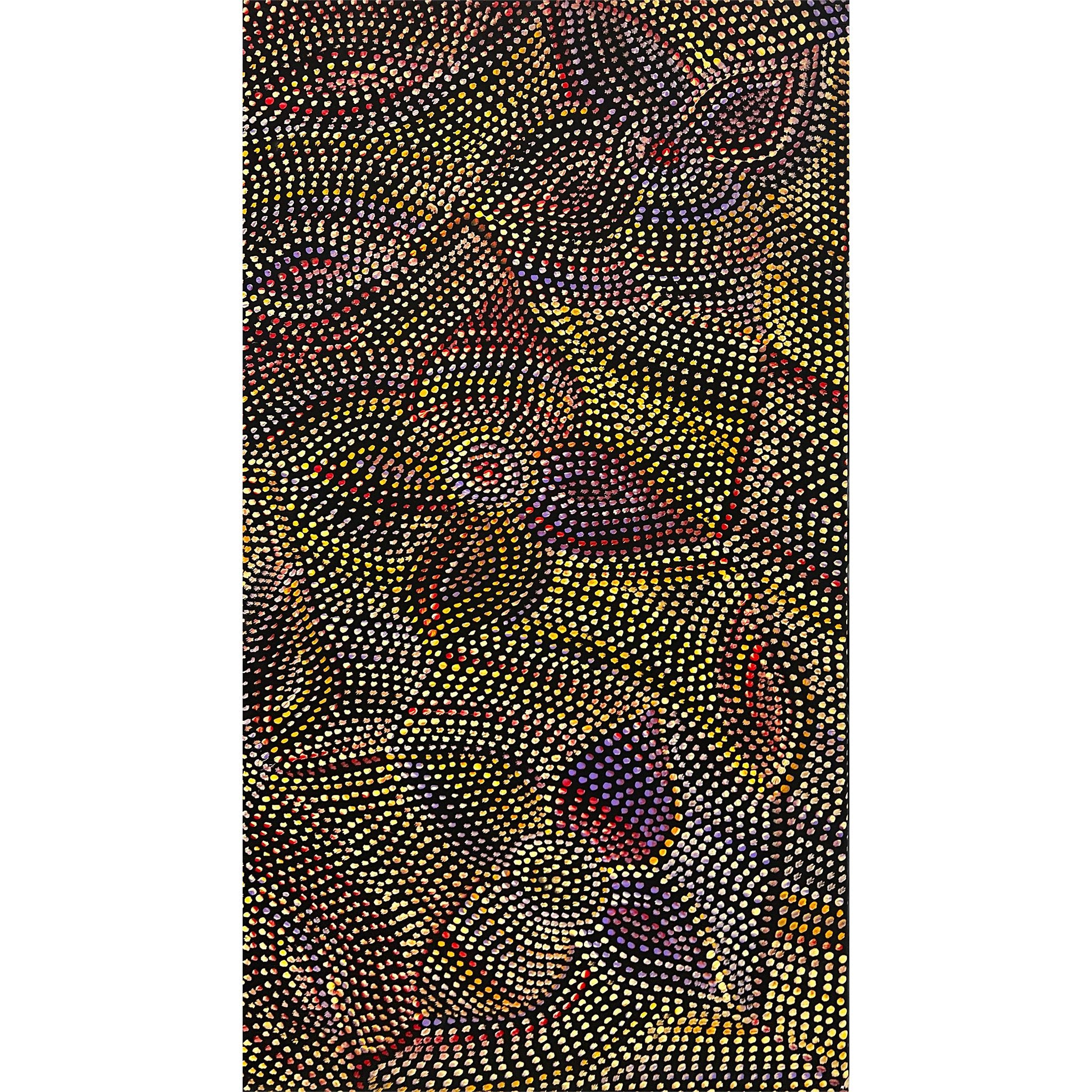 Joy Pitjara | 'Bush Yam Seeds, Unknown' | 52x65cm