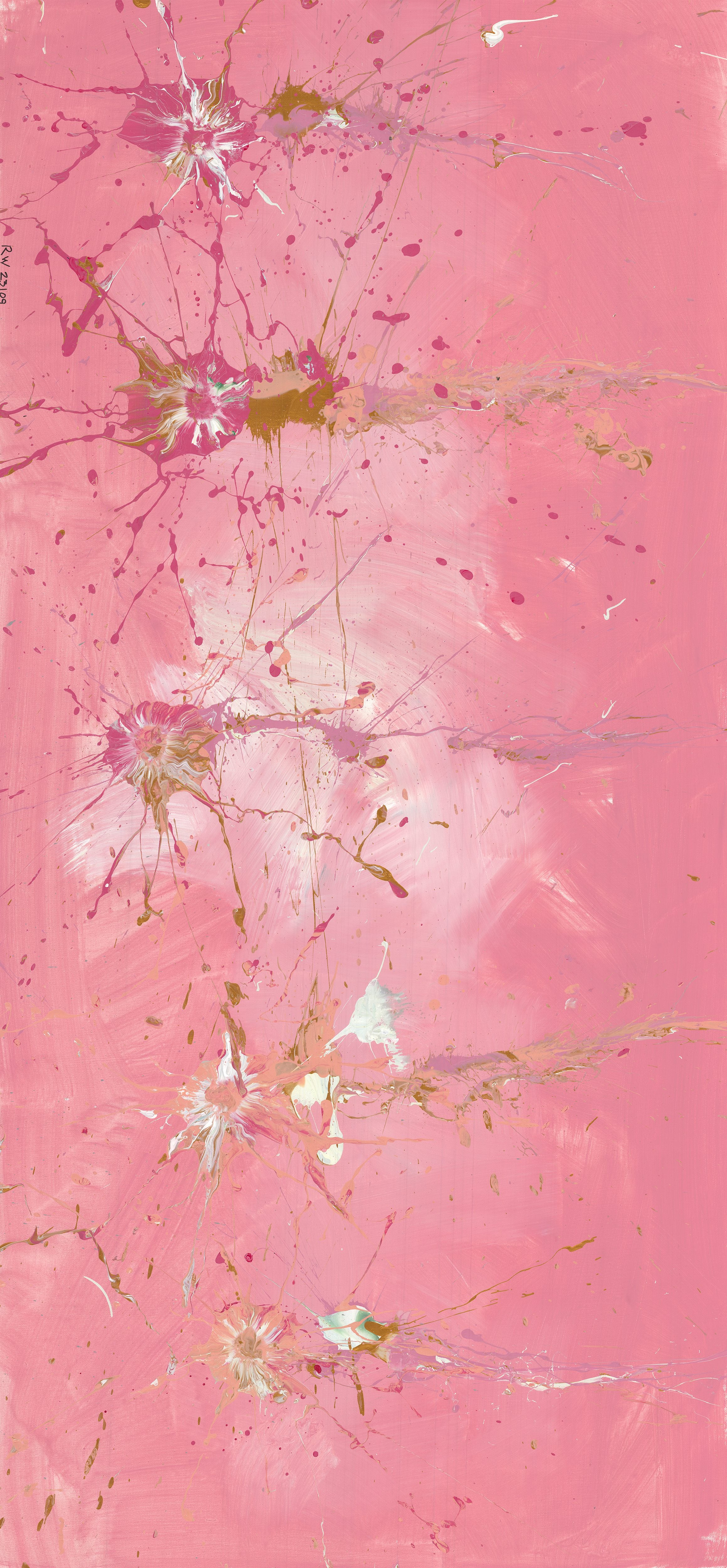 Rowdy Warren | 'Untitled, Unknown' | 95x210cm-thumbmail-1