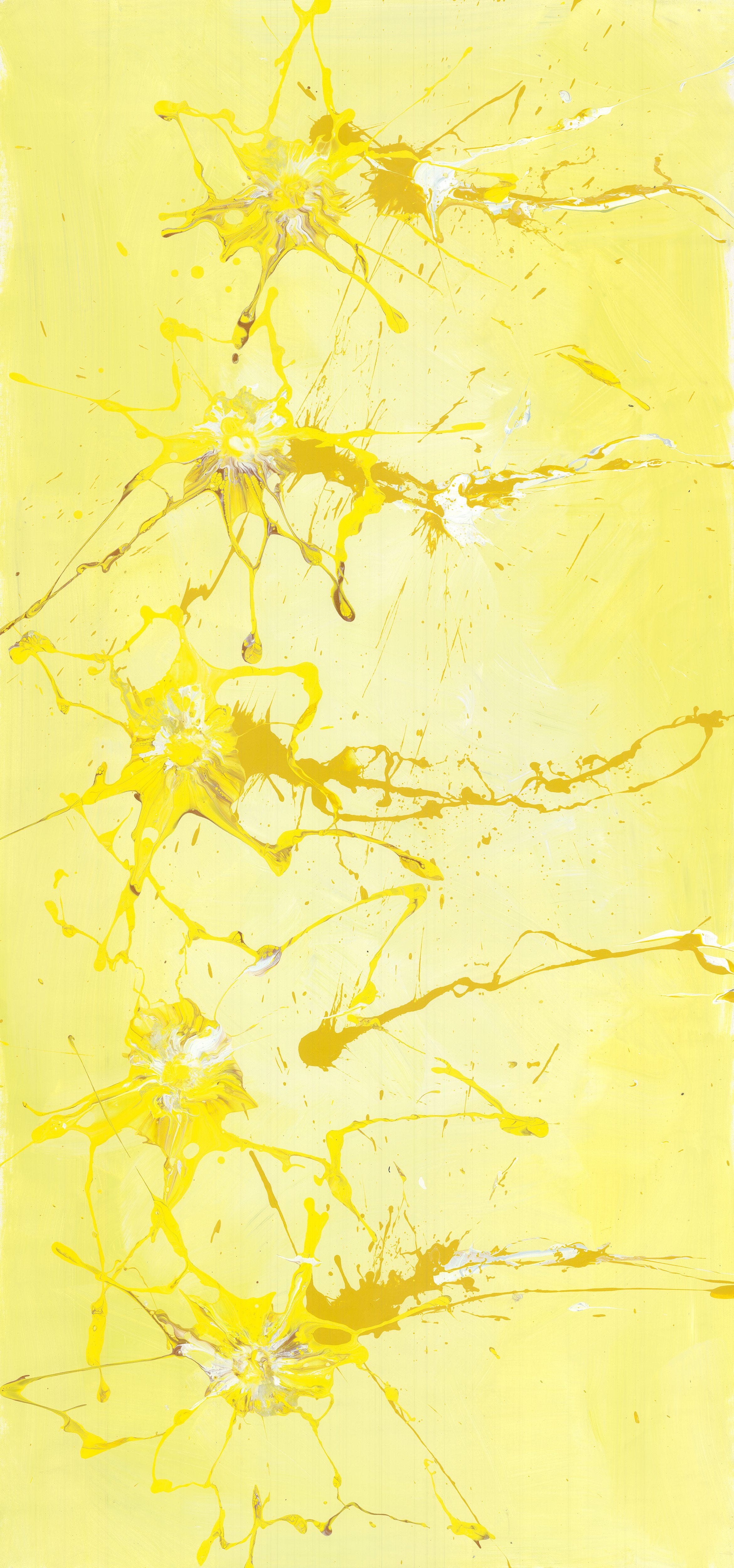 Rowdy Warren | 'Untitled, Unknown' | 100x210cm-thumbmail-1