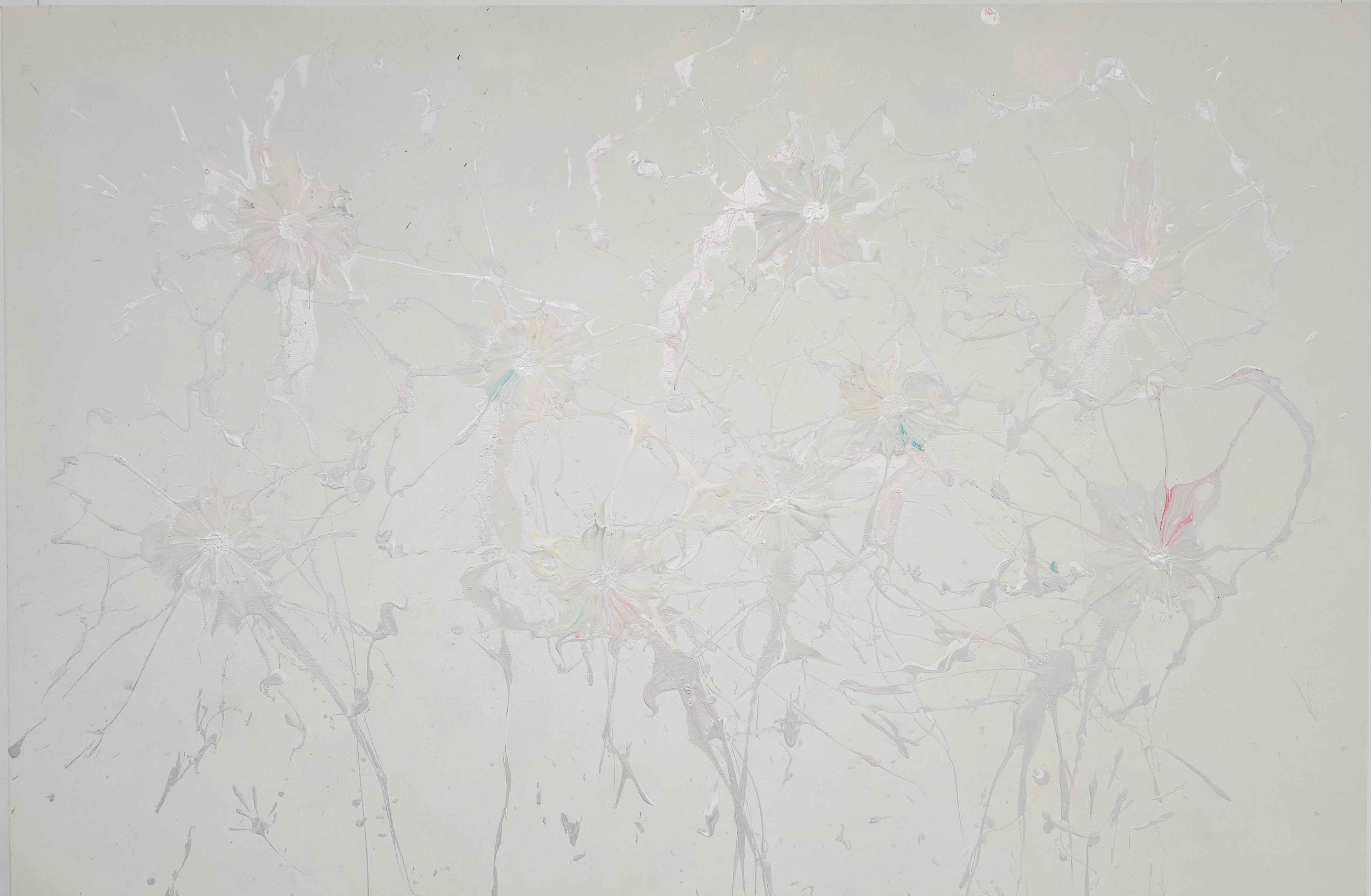 Rowdy Warren | 'Wildflowers, 2025' | 210x210cm
