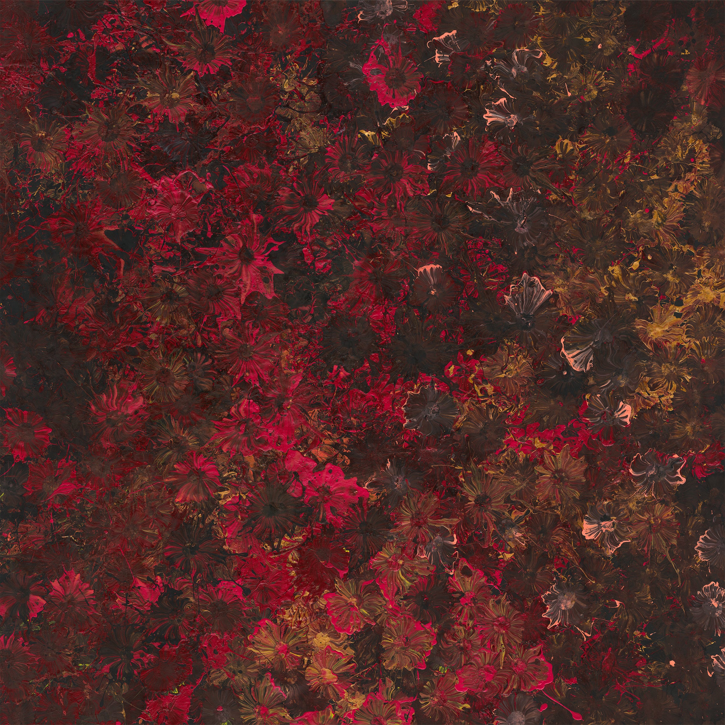Rowdy Warren | Wildflowers, 2025 | 210x210cm