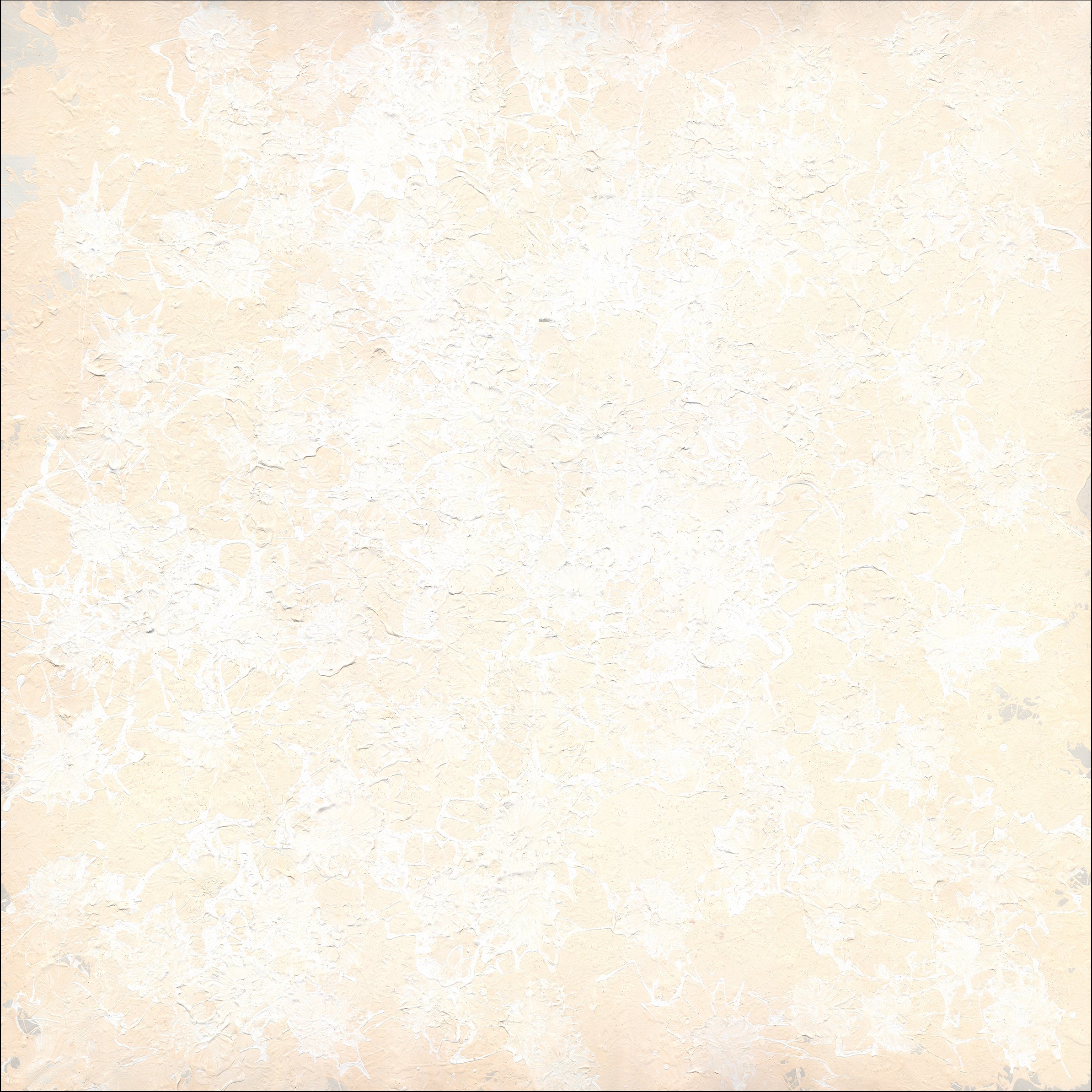 Rowdy Warren | 'Wildflowers, 2025' | 210x210cm