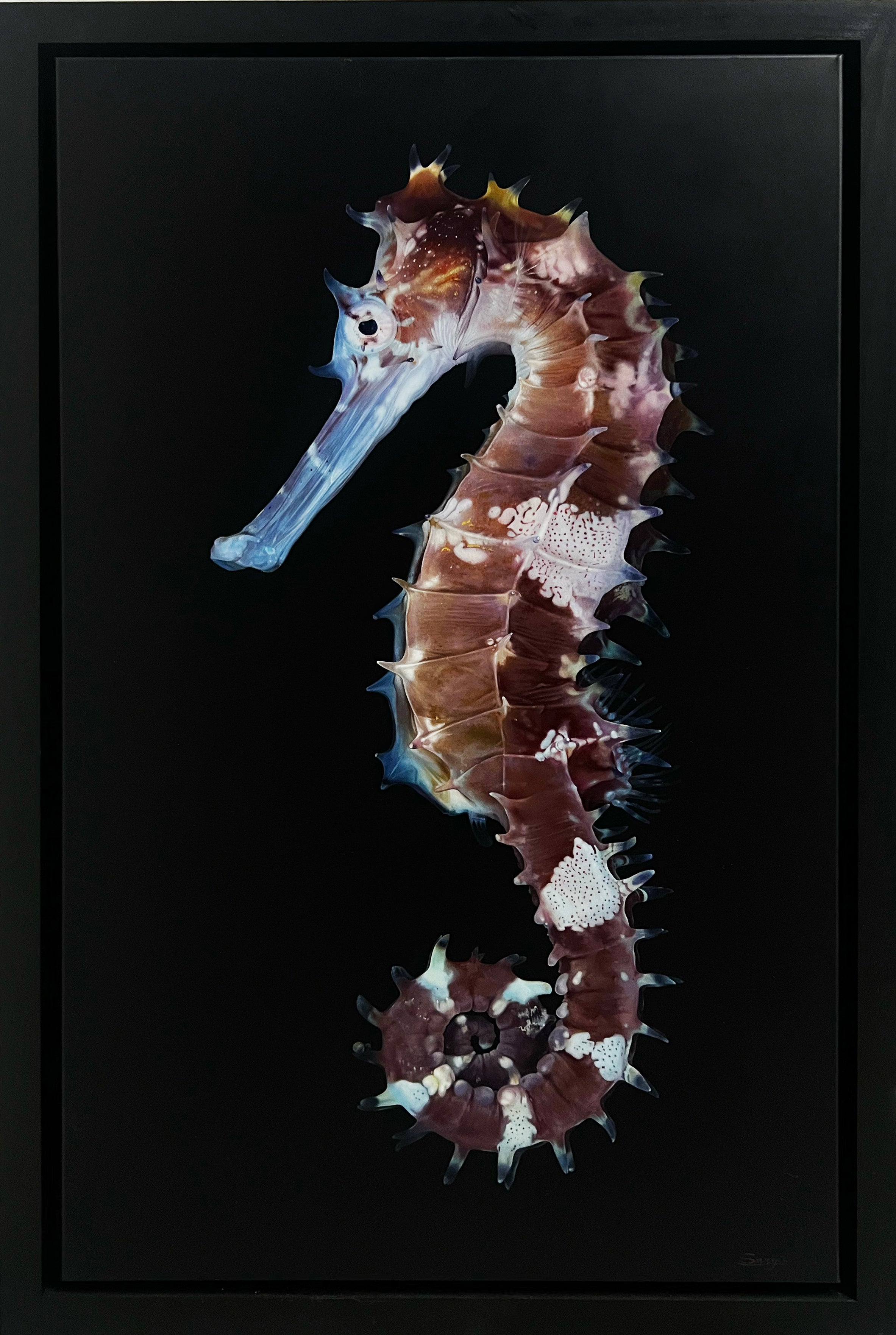 Sargis Hovhannisyan | 'Seahorse, 2022' | 100x60cm-thumbmail-1
