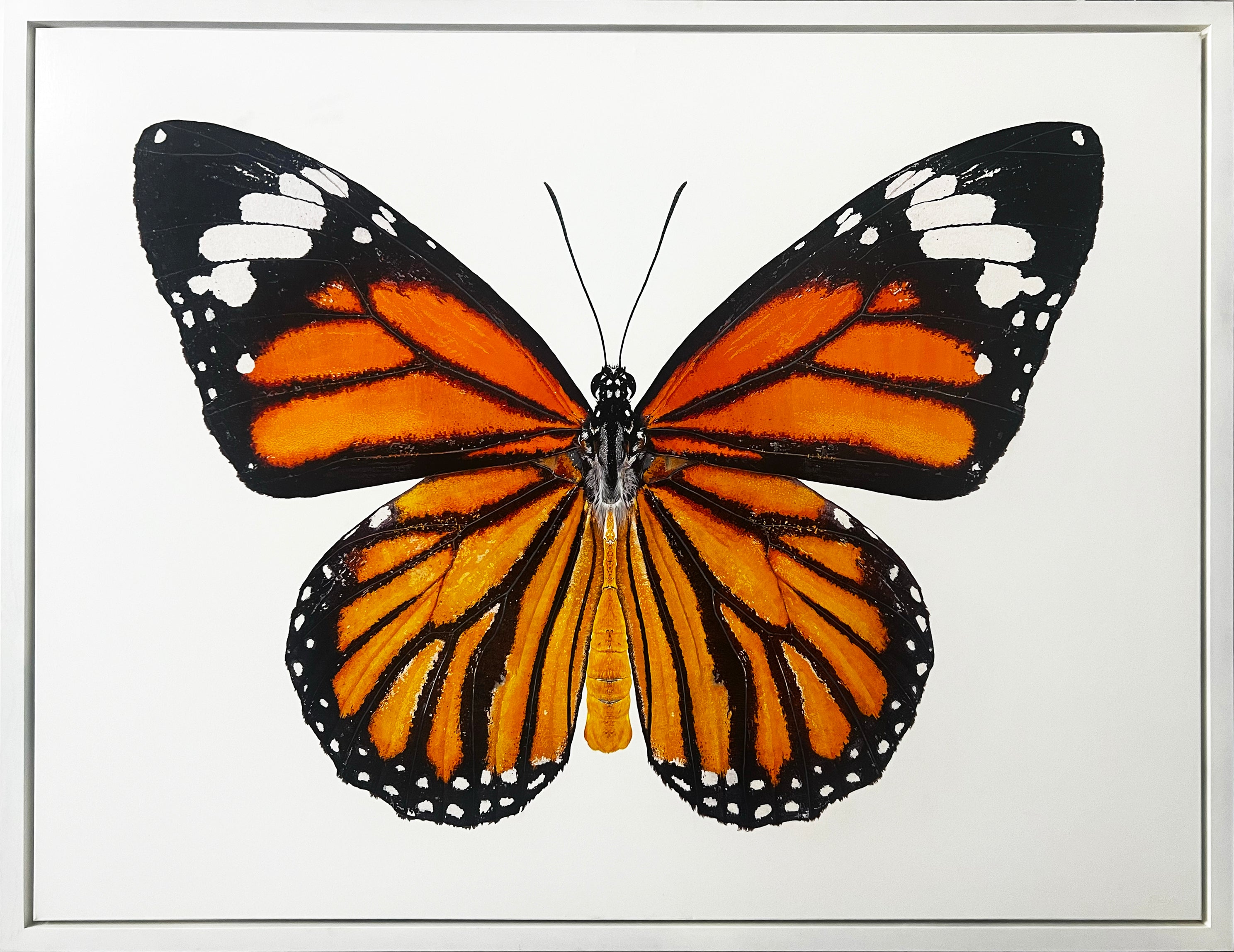 Sargis Hovhannisyan | 'Monarch' 2022' | 130x170cm-thumbmail-1