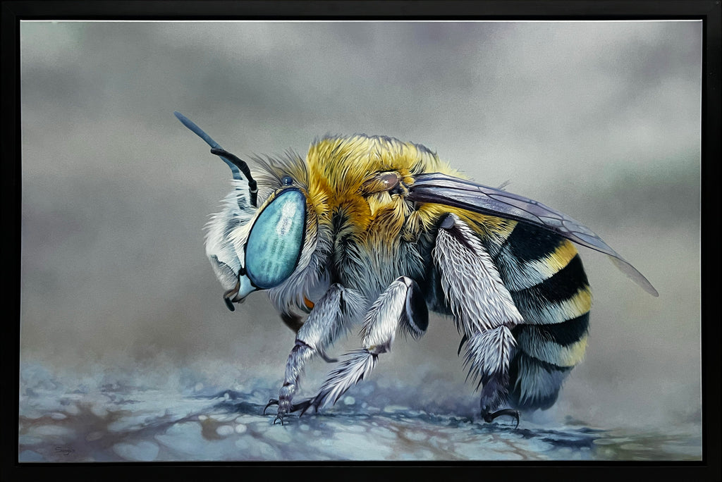 Sargis Hovhannisyan | 'Amegilla Cingulata, 2023' | 95x150cm