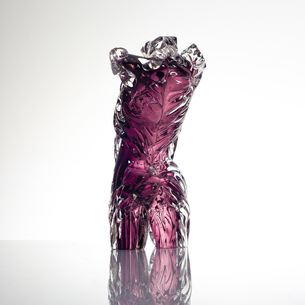 Anatomy X by Tegan Hamilton