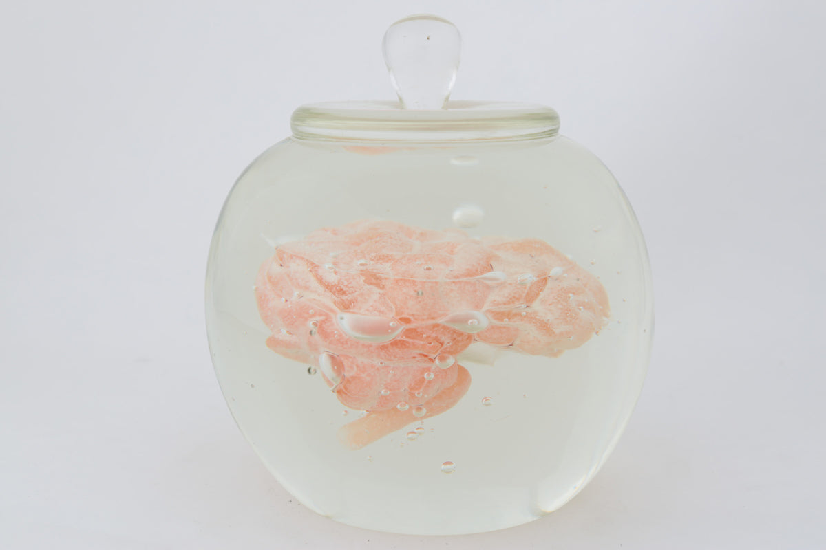 Preservation Of Knowledge by Tegan Hamilton