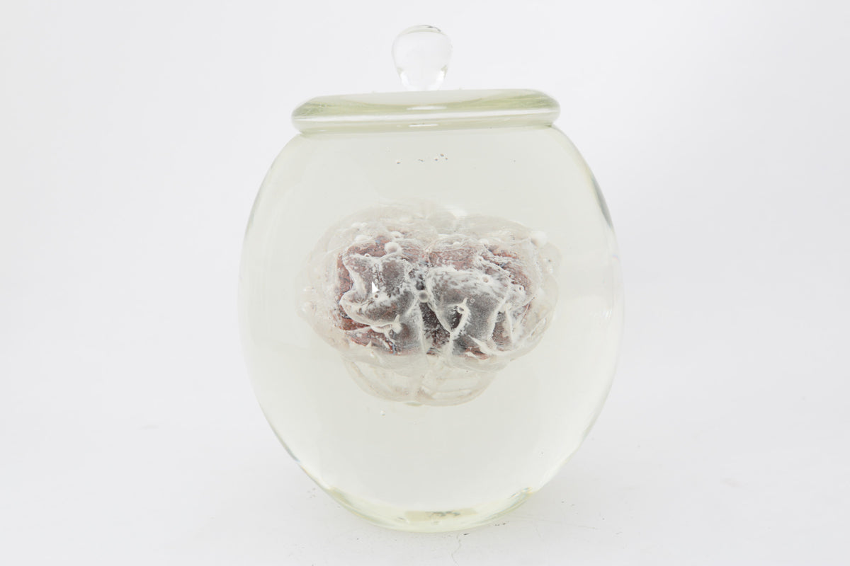 Preservation Of Knowledge II by Tegan Hamilton